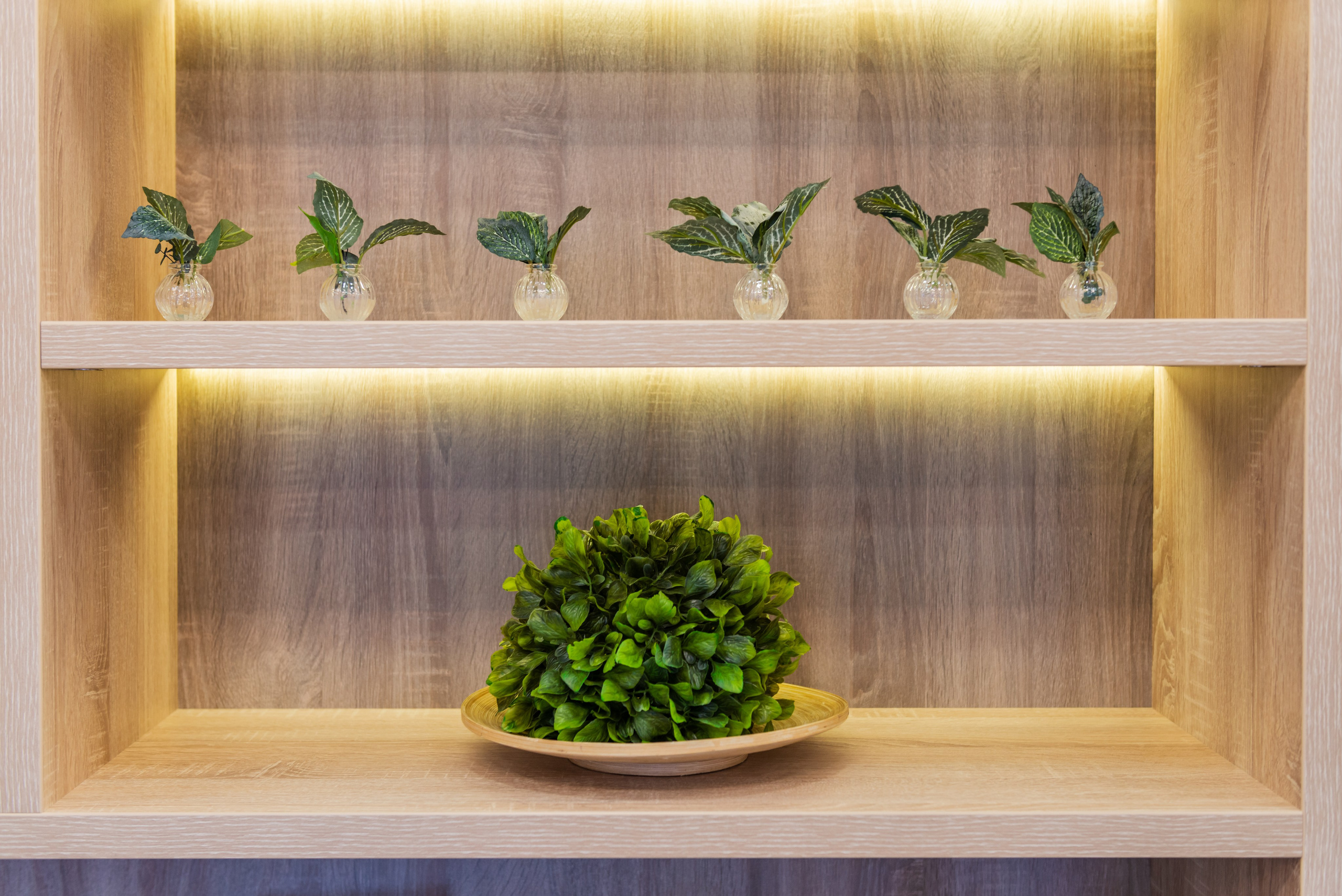 Салон красоты Империя цвета. ФОТОГРАФ МЕКСИКА КИНТАНА-РОО