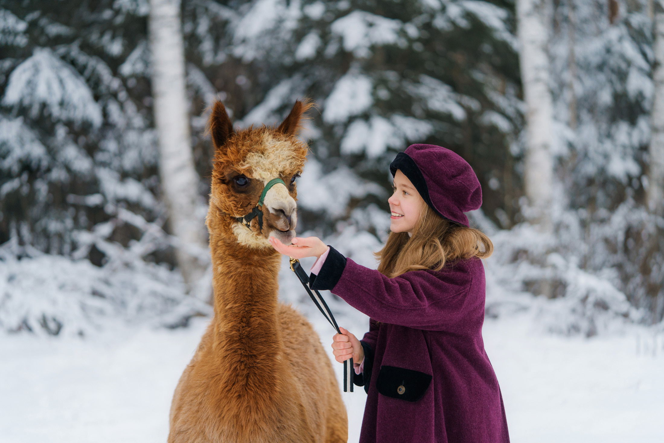 Lapsikuvaus Klaukkala