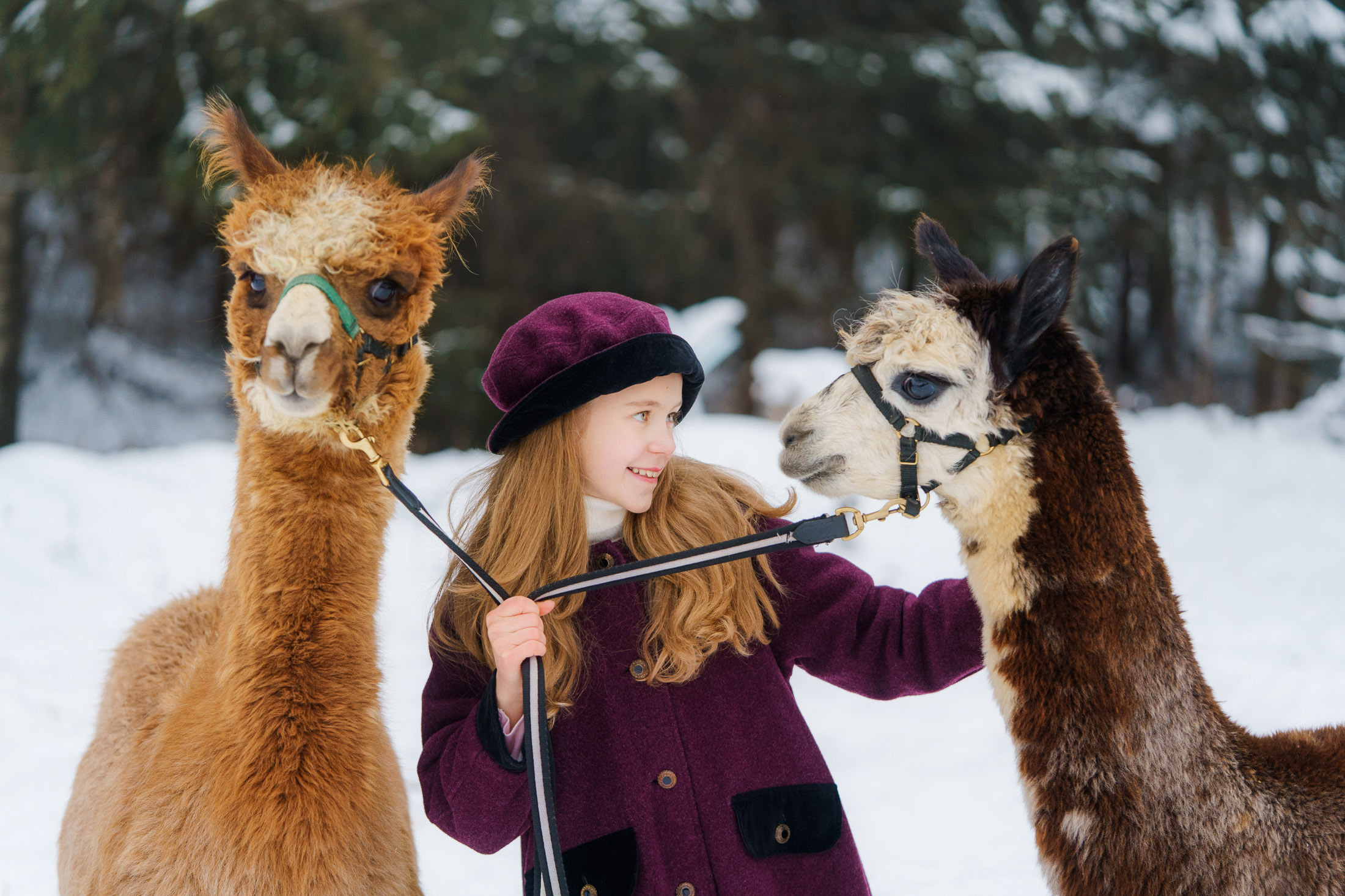 Lapsikuvaus Klaukkala