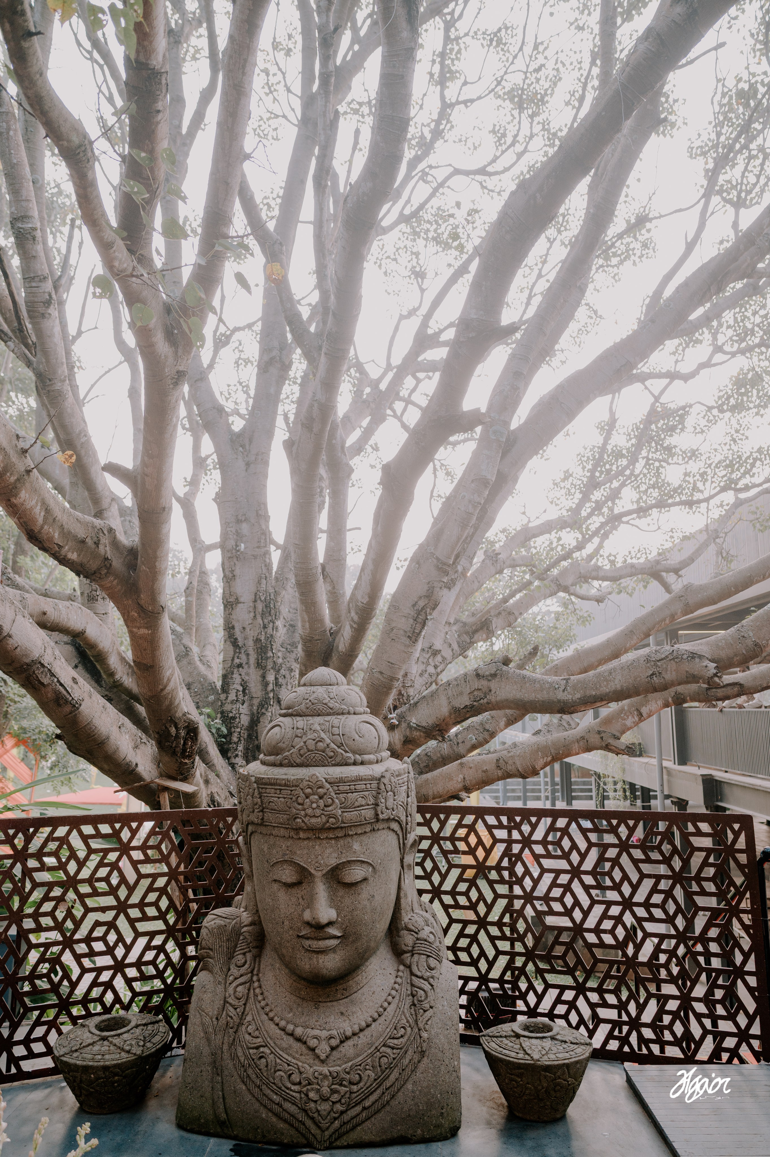 A Three-Day Bangalore Wedding Story | Emotional South Indian Wedding at KBL Saarang. Agam Vizha