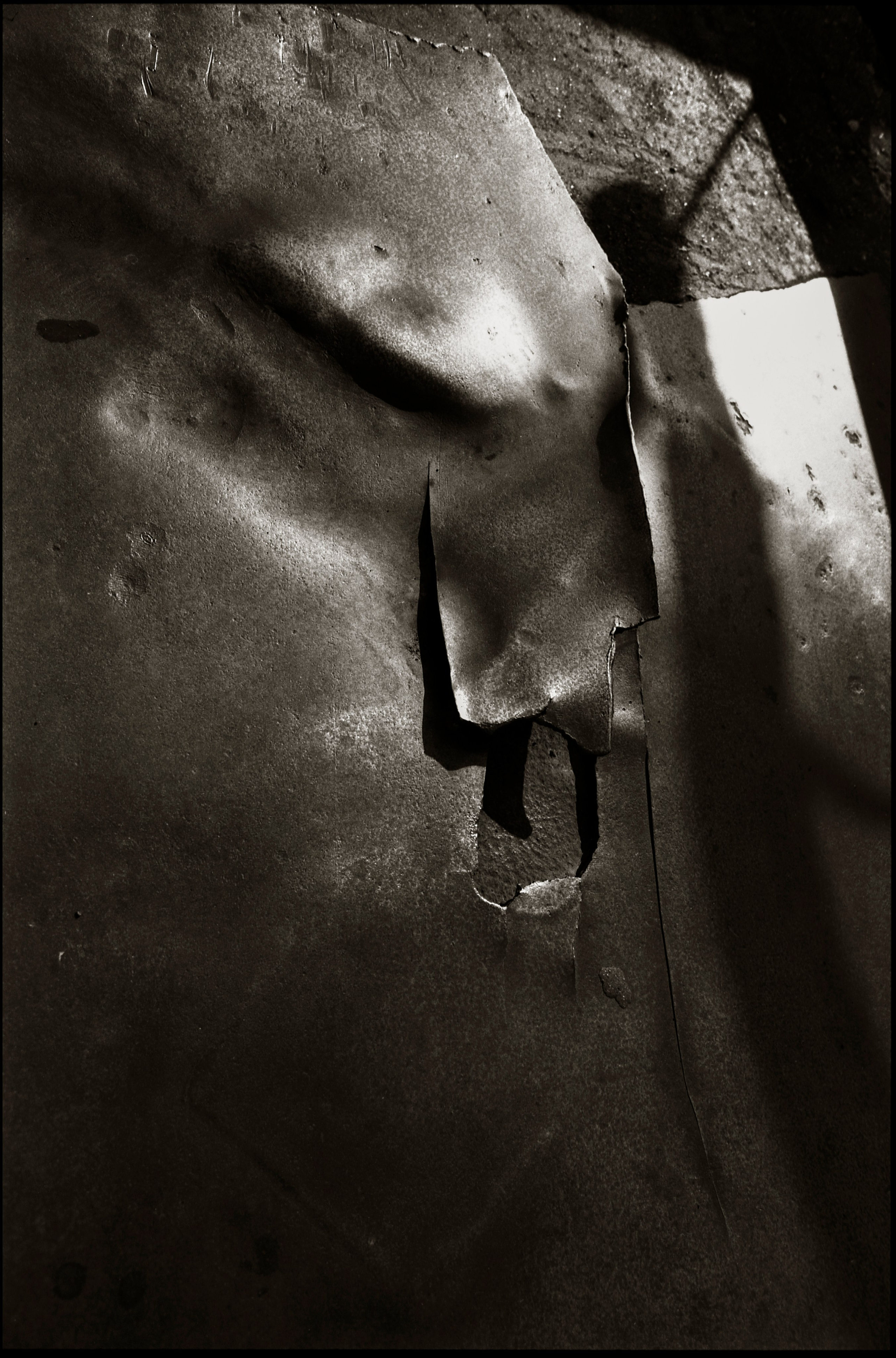 FIELD OF THE MASTER. Www.sananaleskerov.com