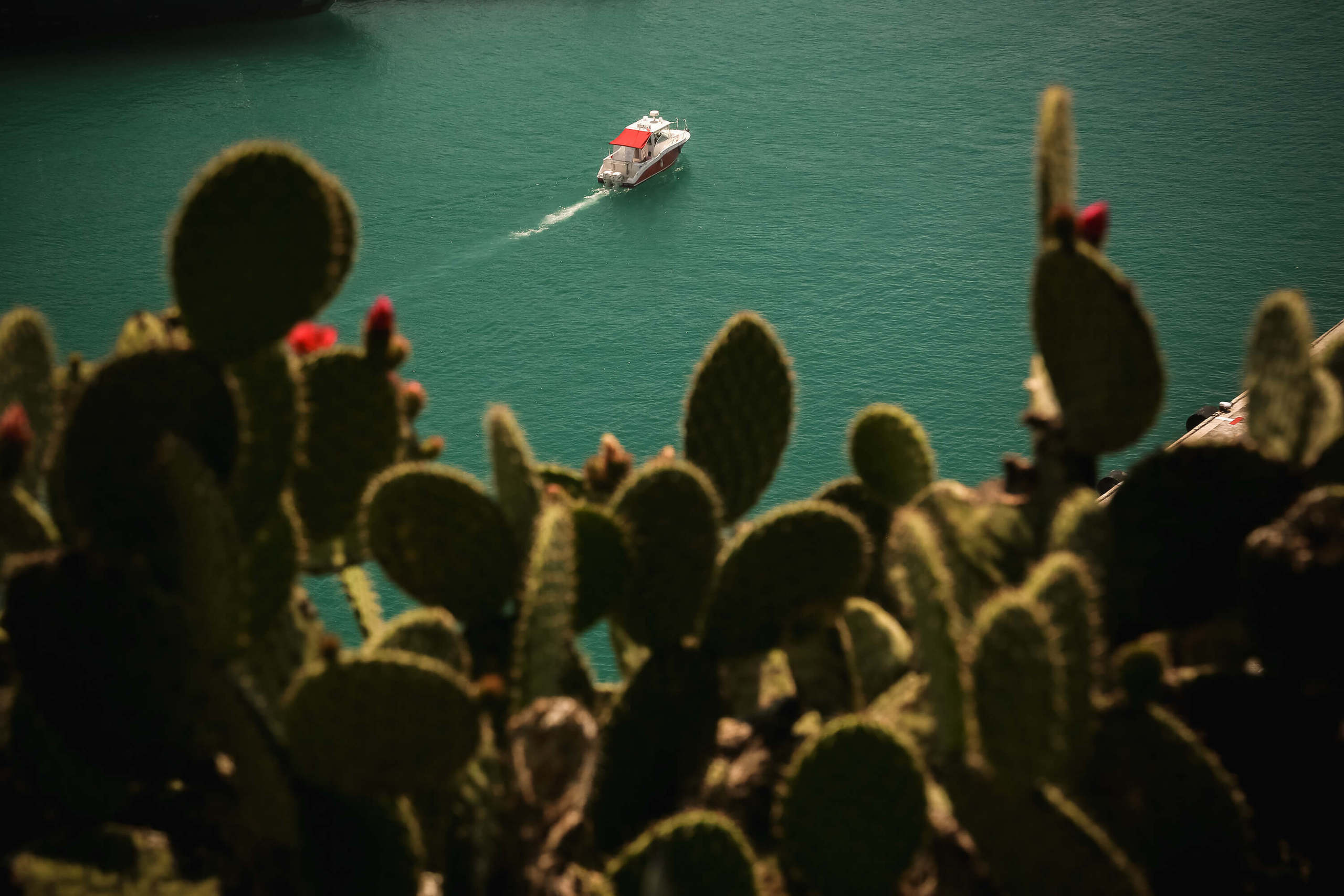 France photo. Nice photo. Wedding and family photographer in Cork, Ireland. Tigran