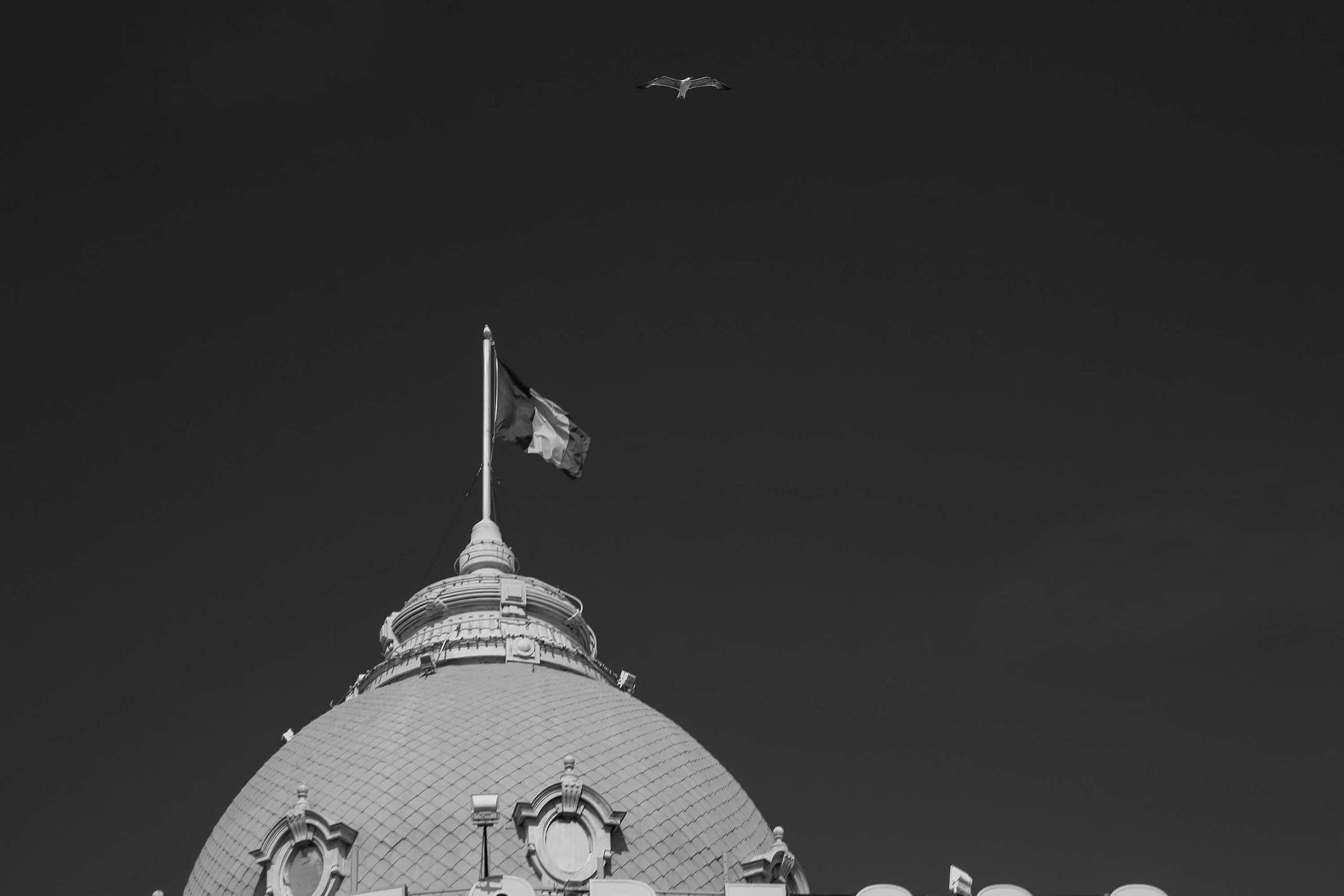 France photo. Nice photo. Wedding and family photographer in Cork, Ireland. Tigran