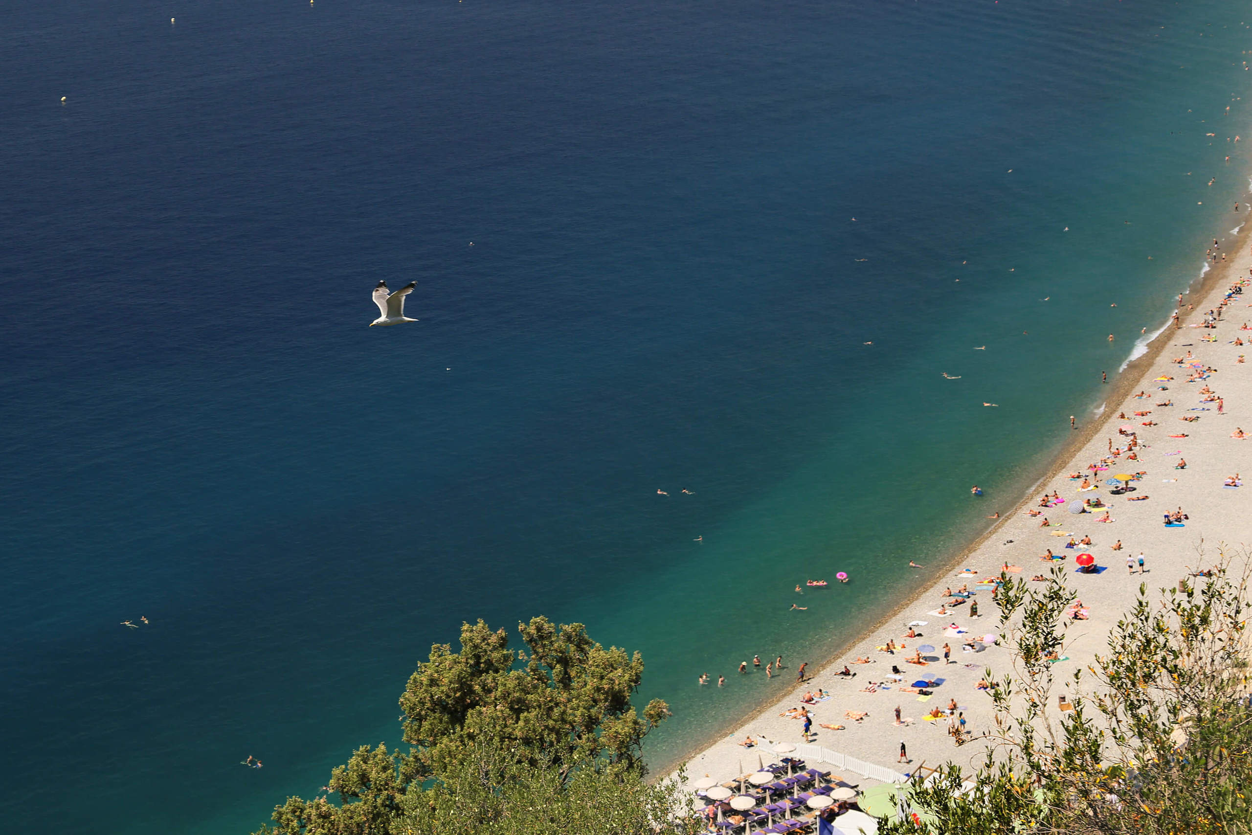 France photo. Nice photo. Wedding and family photographer in Cork, Ireland. Tigran