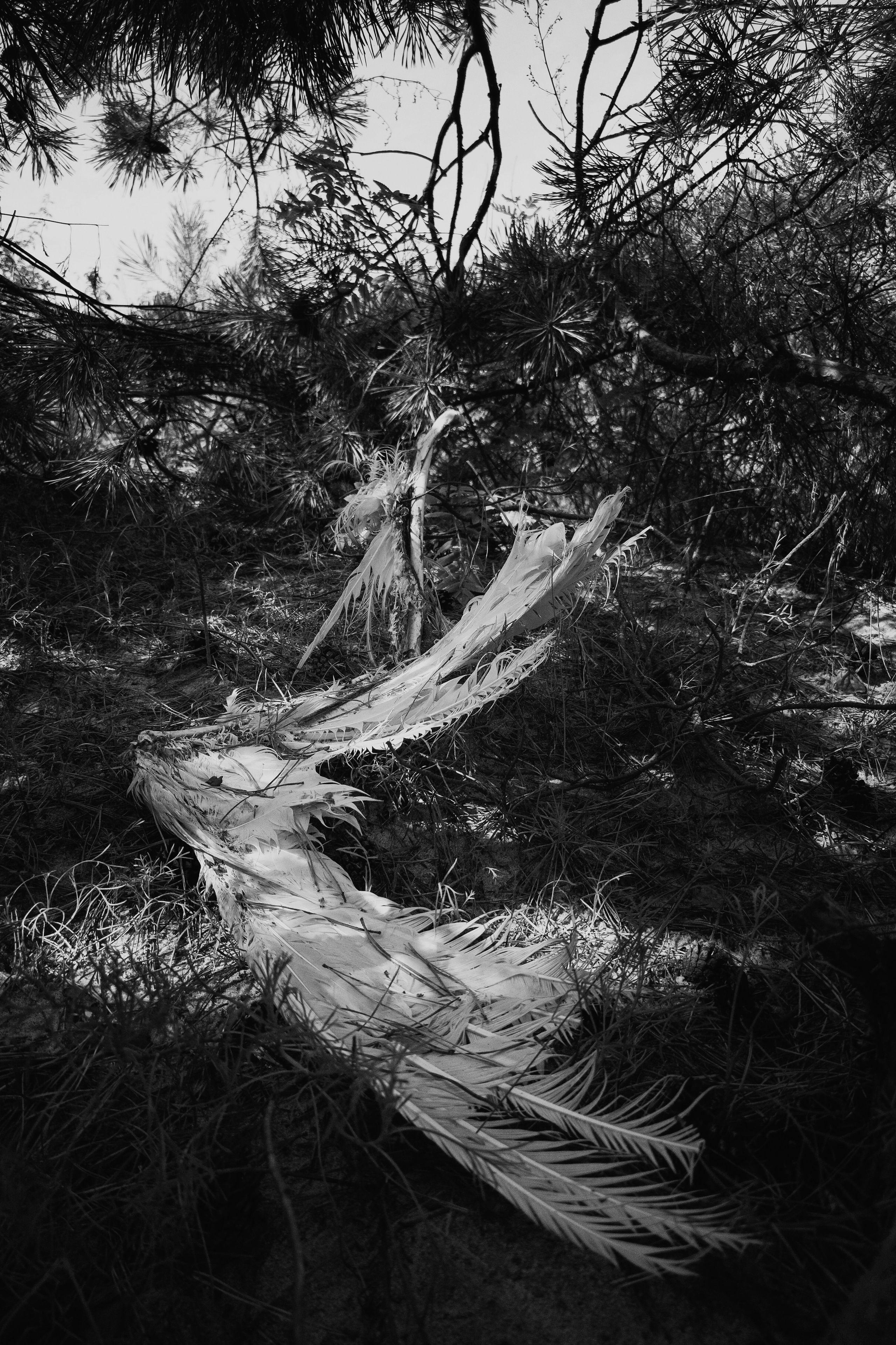 Rubezh. Ilia Denbrov photography