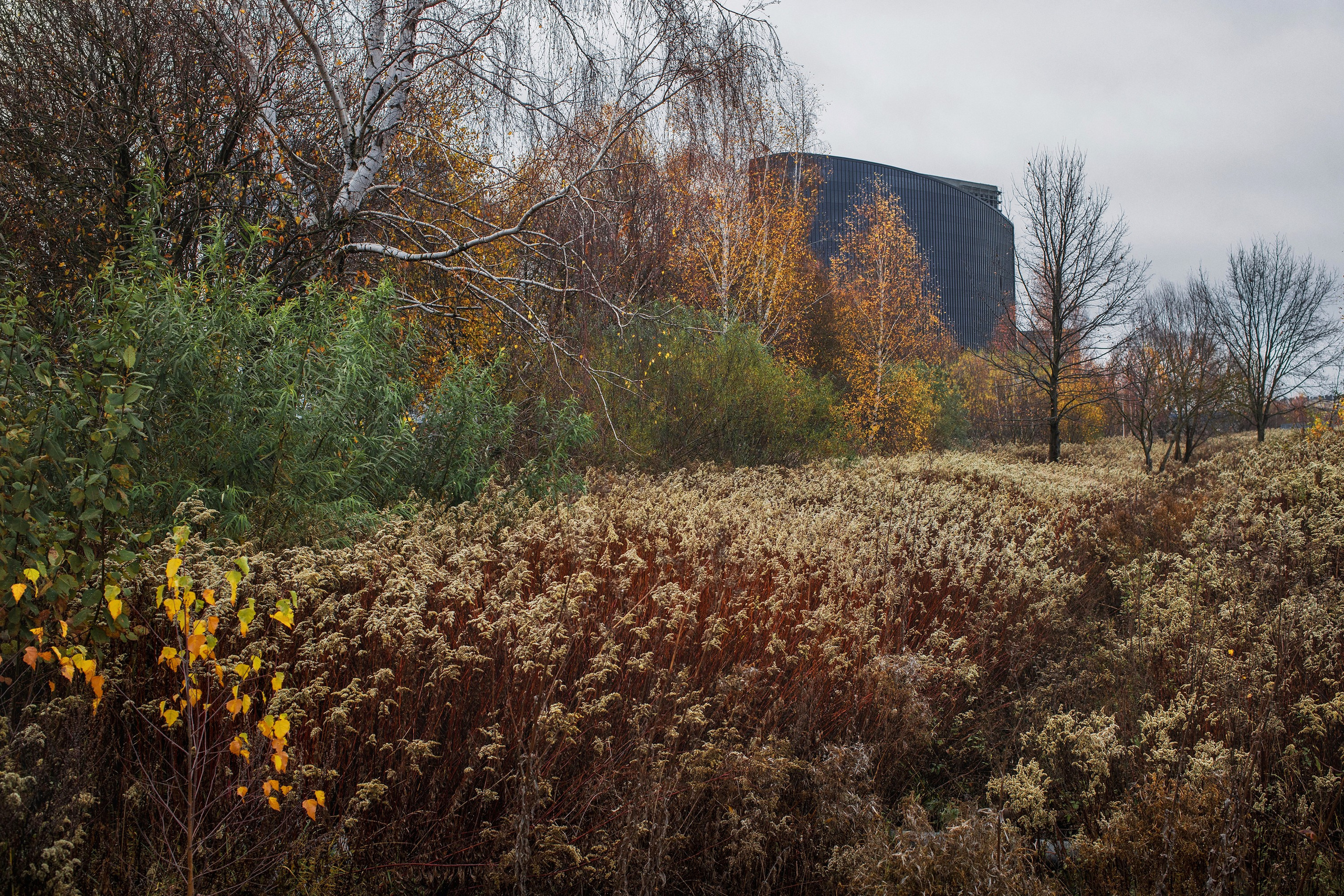 5000 Km. Ilia Denbrov photography