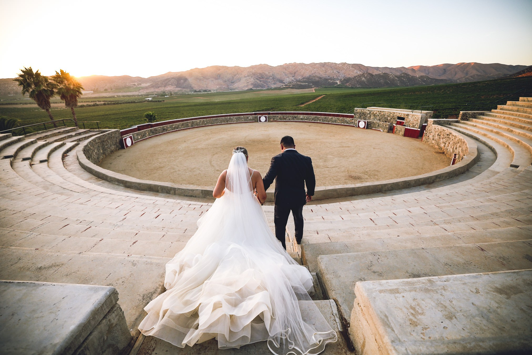LA Cetto Valle de Guadalupe Boda Araceli e Israel. Estudio de fotografia en Tijuana