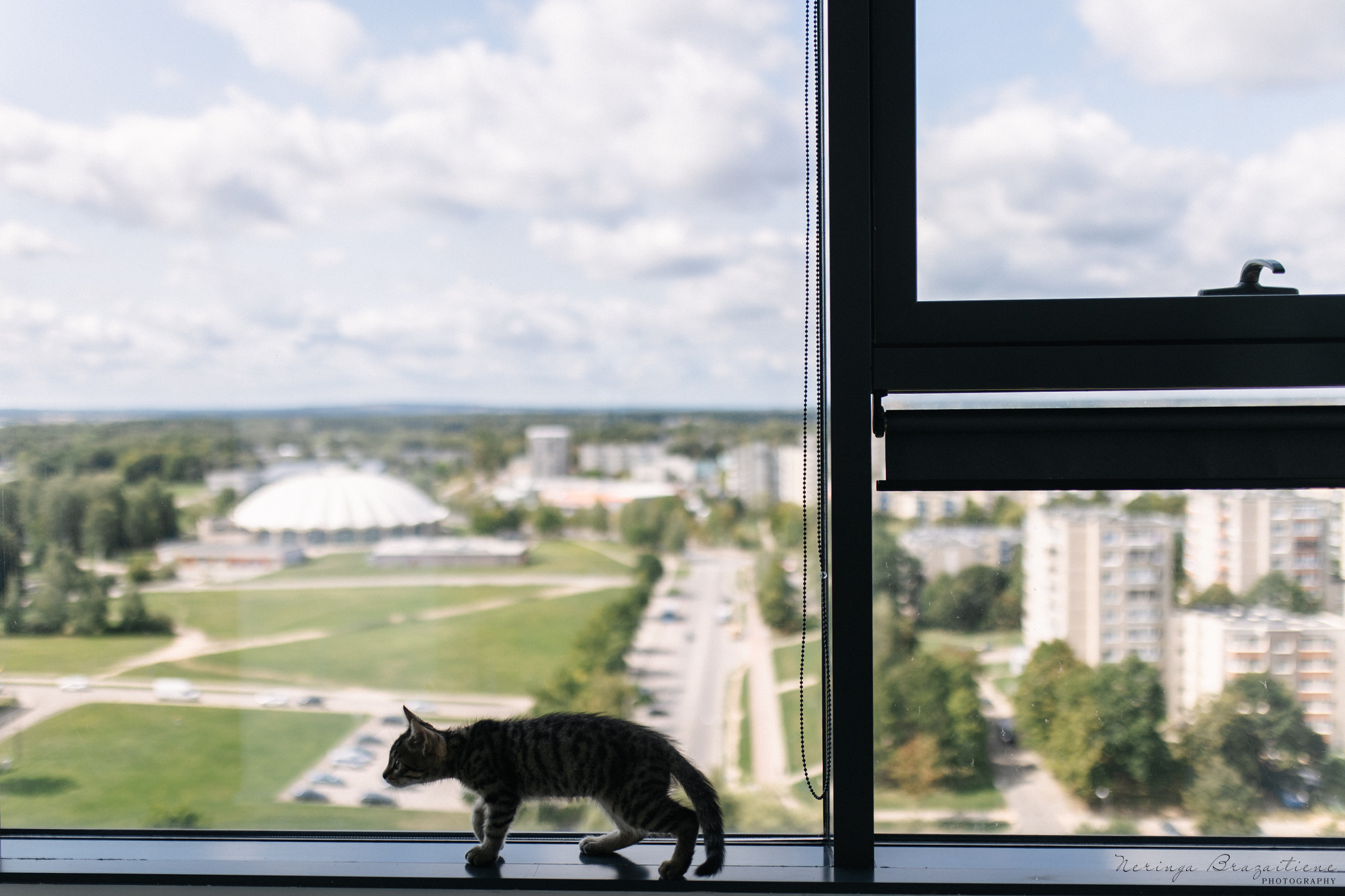 Jaunųjų fotosesija Vilniuje, Užutrakio dvare