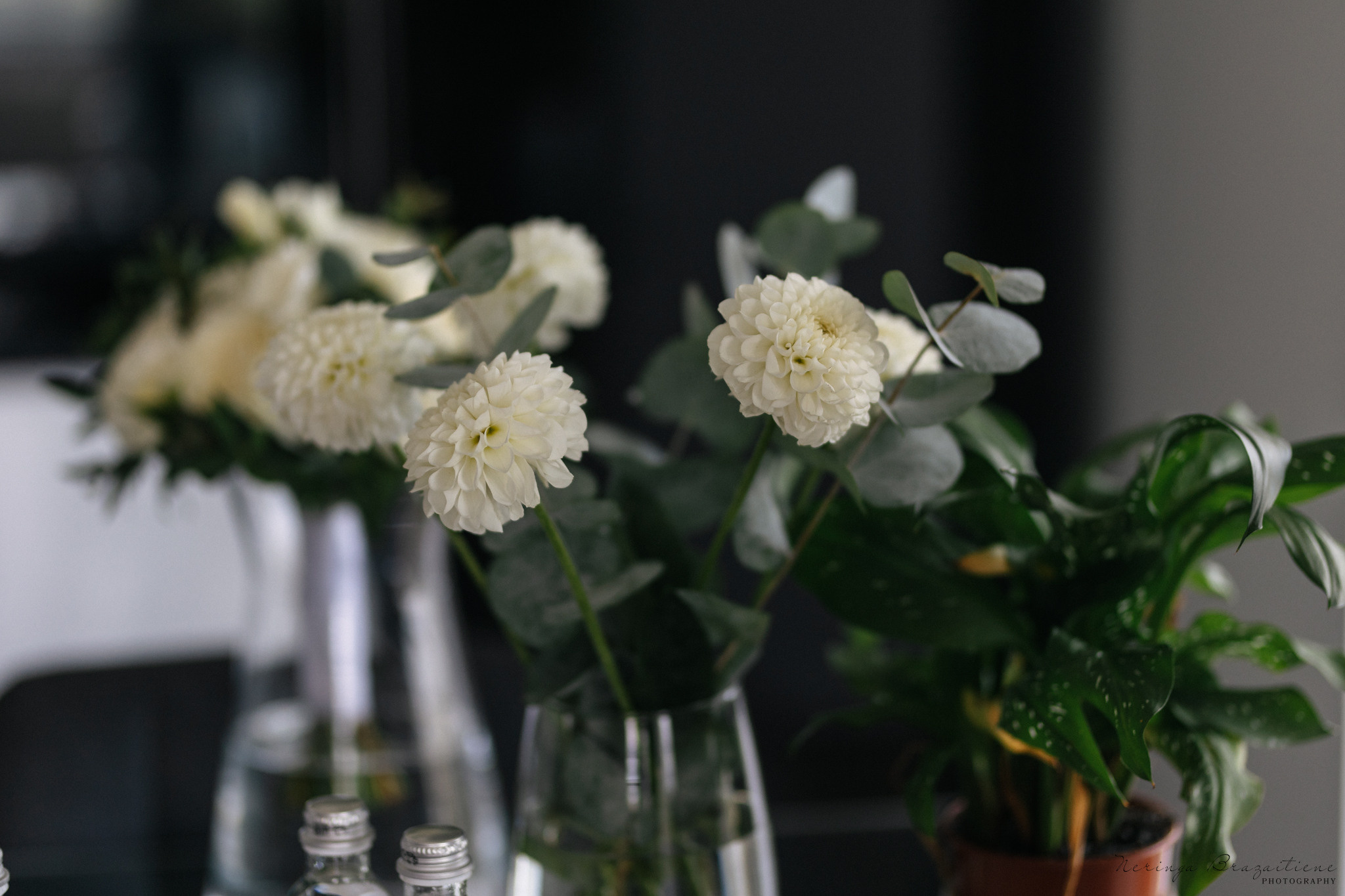 Jaunųjų fotosesija Vilniuje, Užutrakio dvare