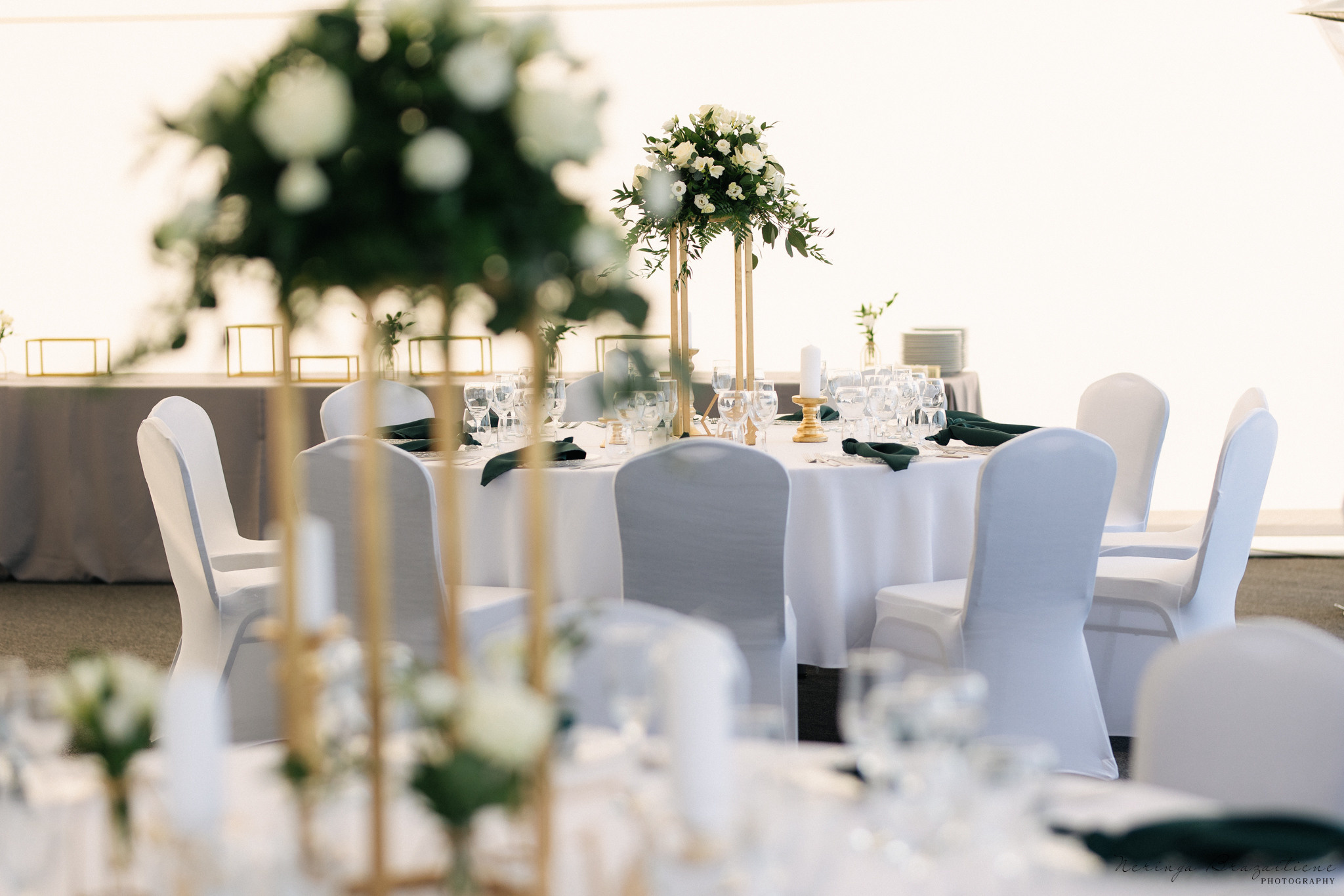 Jaunųjų fotosesija Vilniuje, Užutrakio dvare