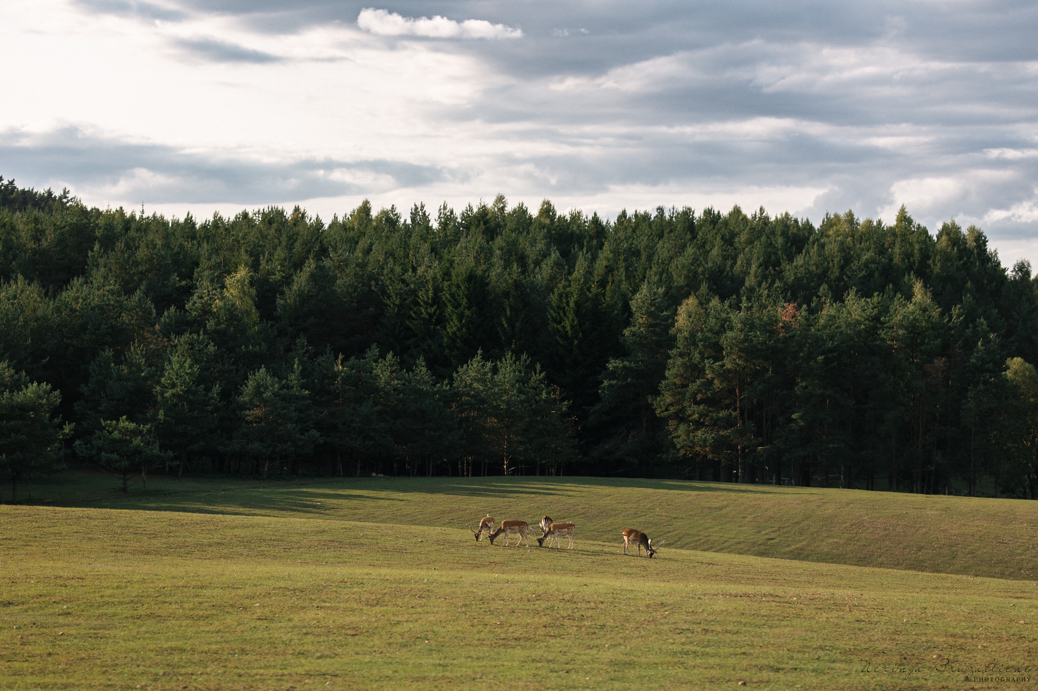 Jaunųjų fotosesija Vilniuje, Užutrakio dvare