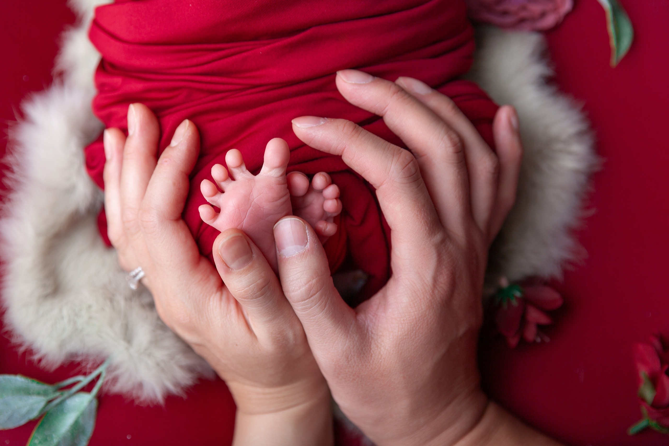 Services. Marina Pravda Photography San Francisco Bay Area