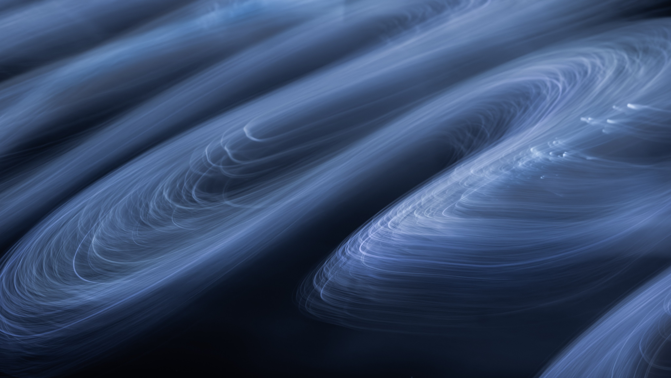 Creative Macro Photographer & Content Creator in Birmingham, UK — Lee Hall