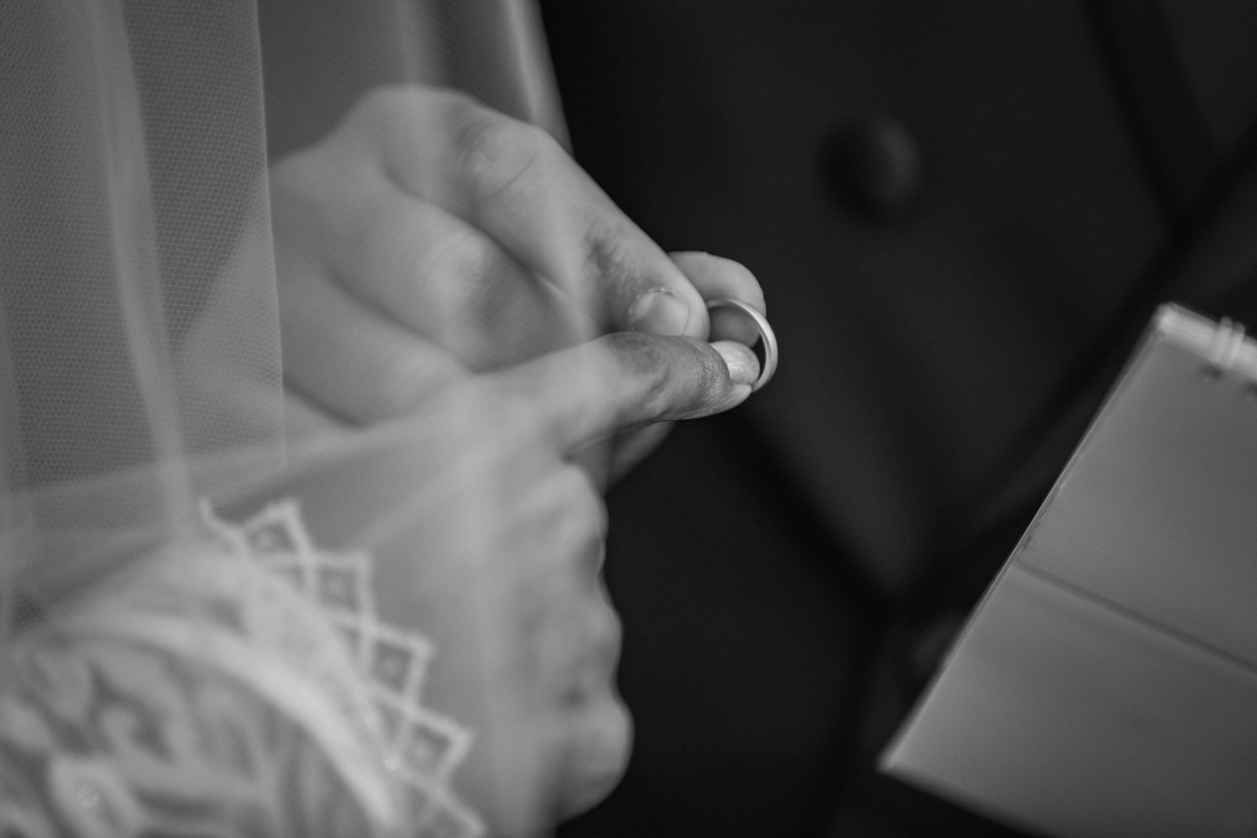 CAMELLIA ART PHOTOGRAPHY