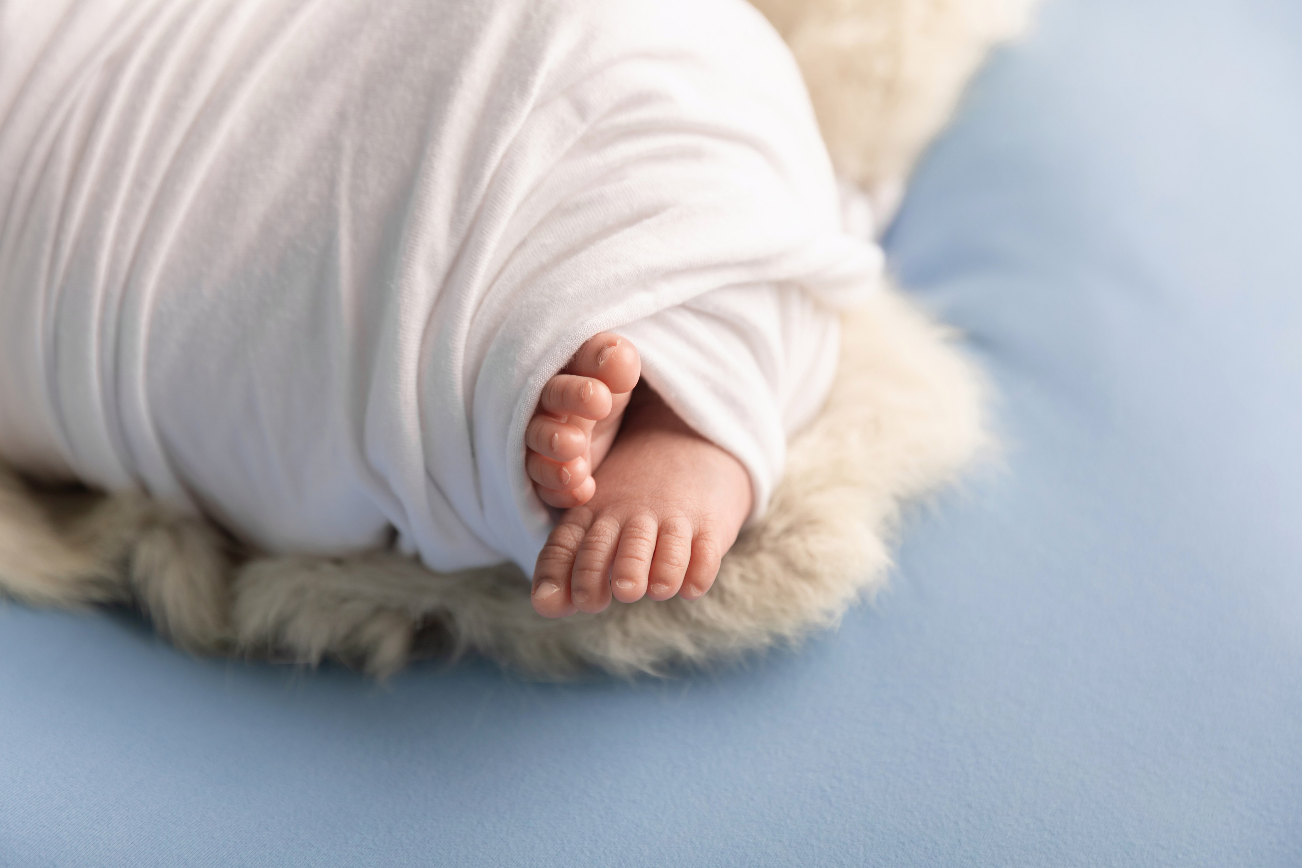 Services. Marina Pravda Photography San Francisco Bay Area