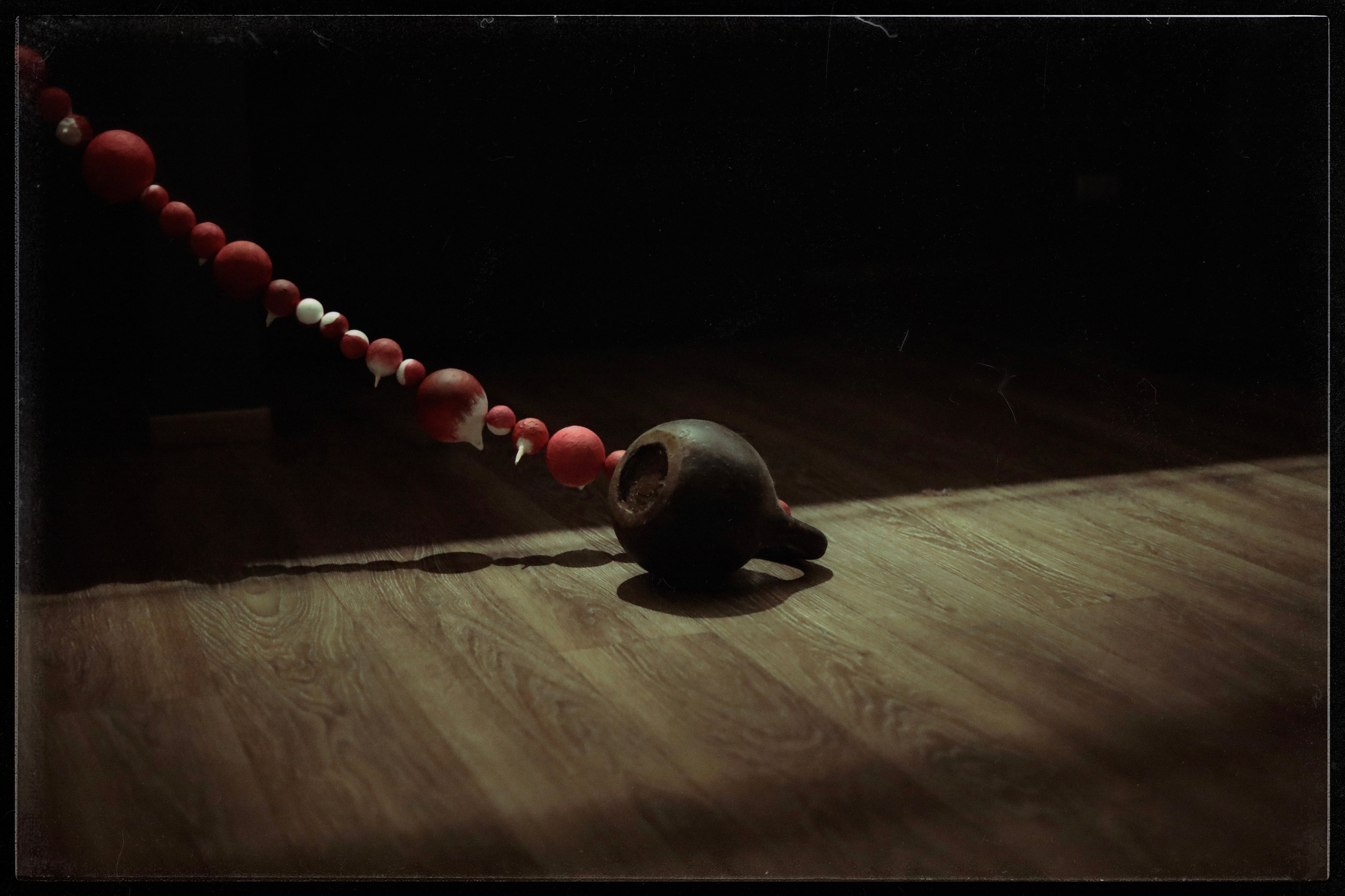 Root-crop. Alina Kugush