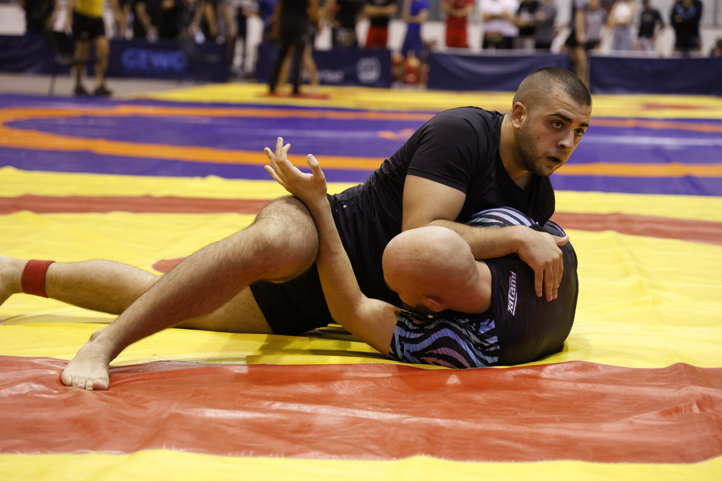 NO GI Challenge Novi Sad