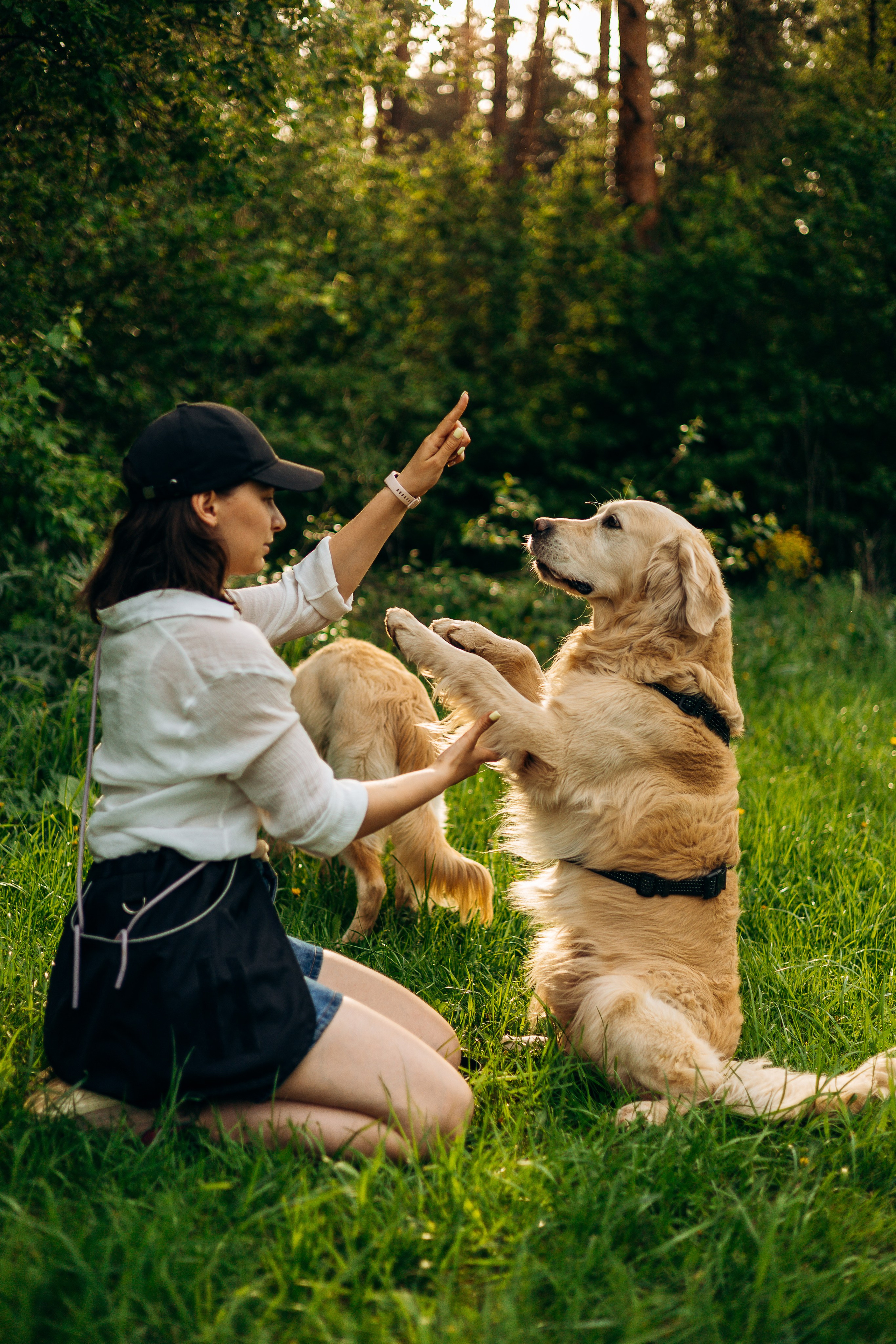 Обо мне. Фотограф-анималист | Белград