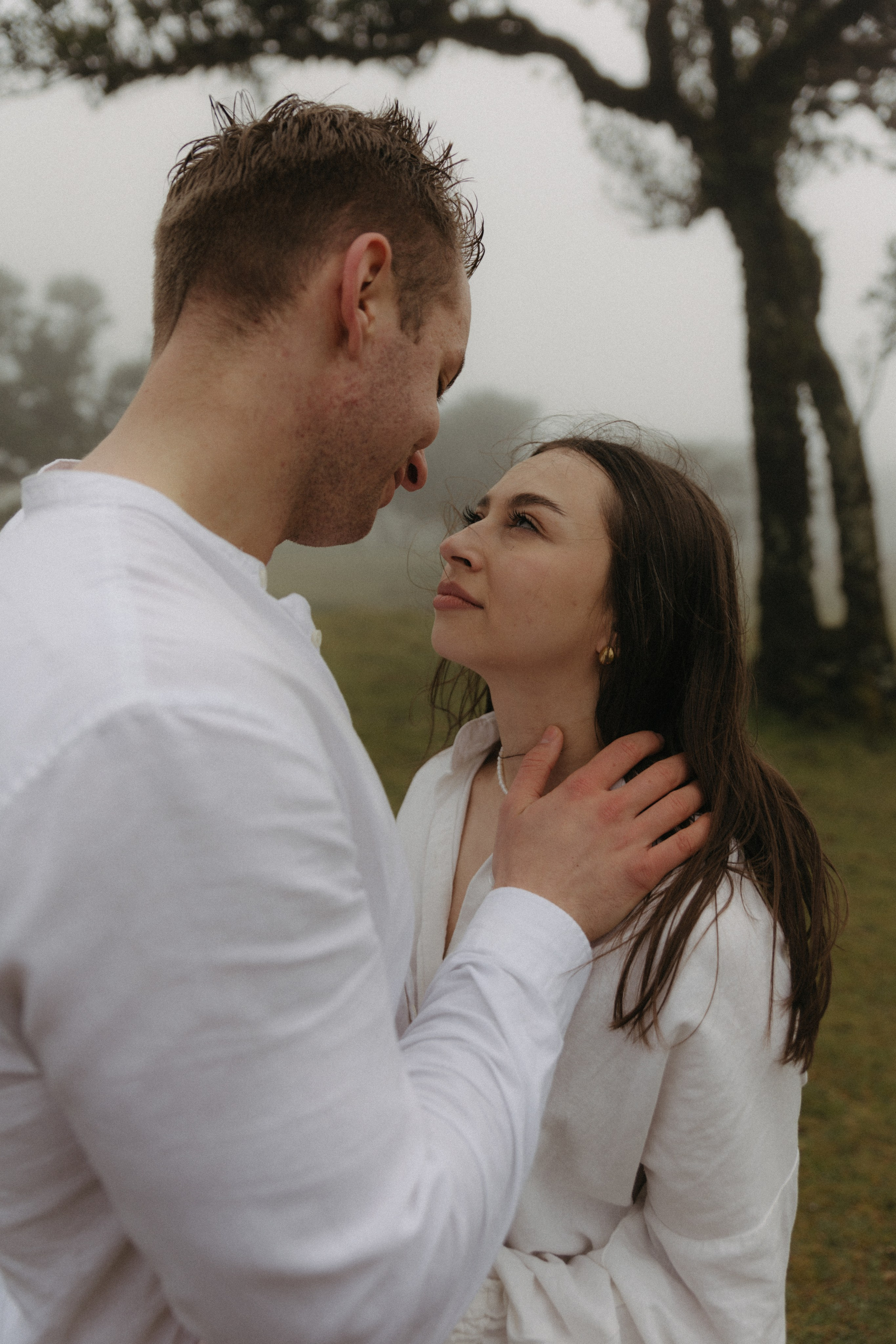 Magic of Fanal Forest. Wedding photographer and videographer based in Timisoara, Romania