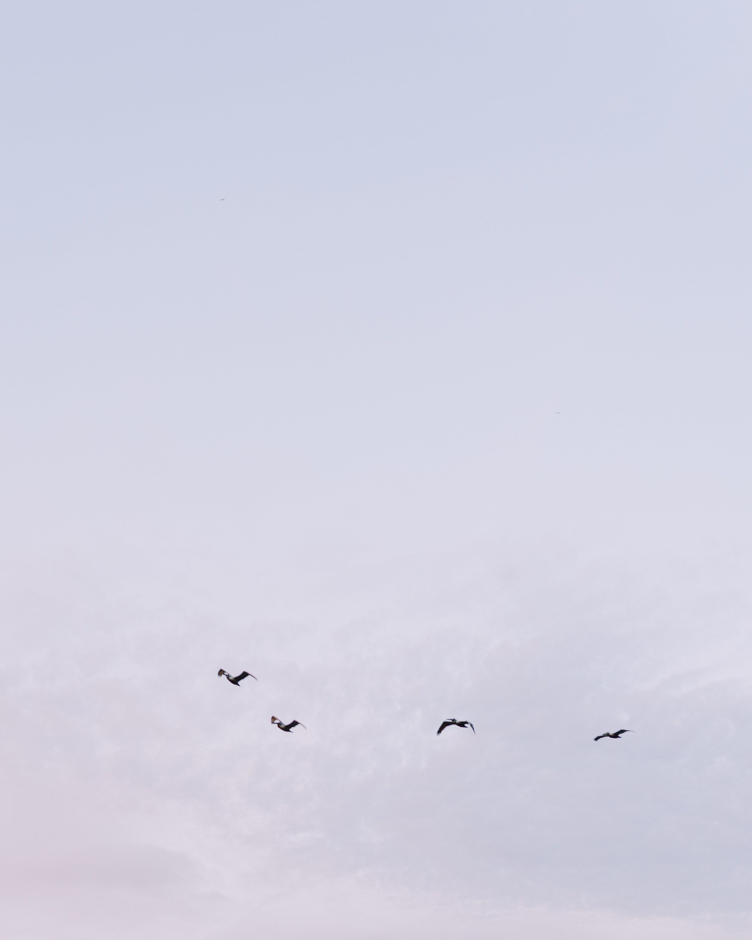 Double Wedding. Sayulita Wedding Photographer, Puerto Vallarta, Cabo