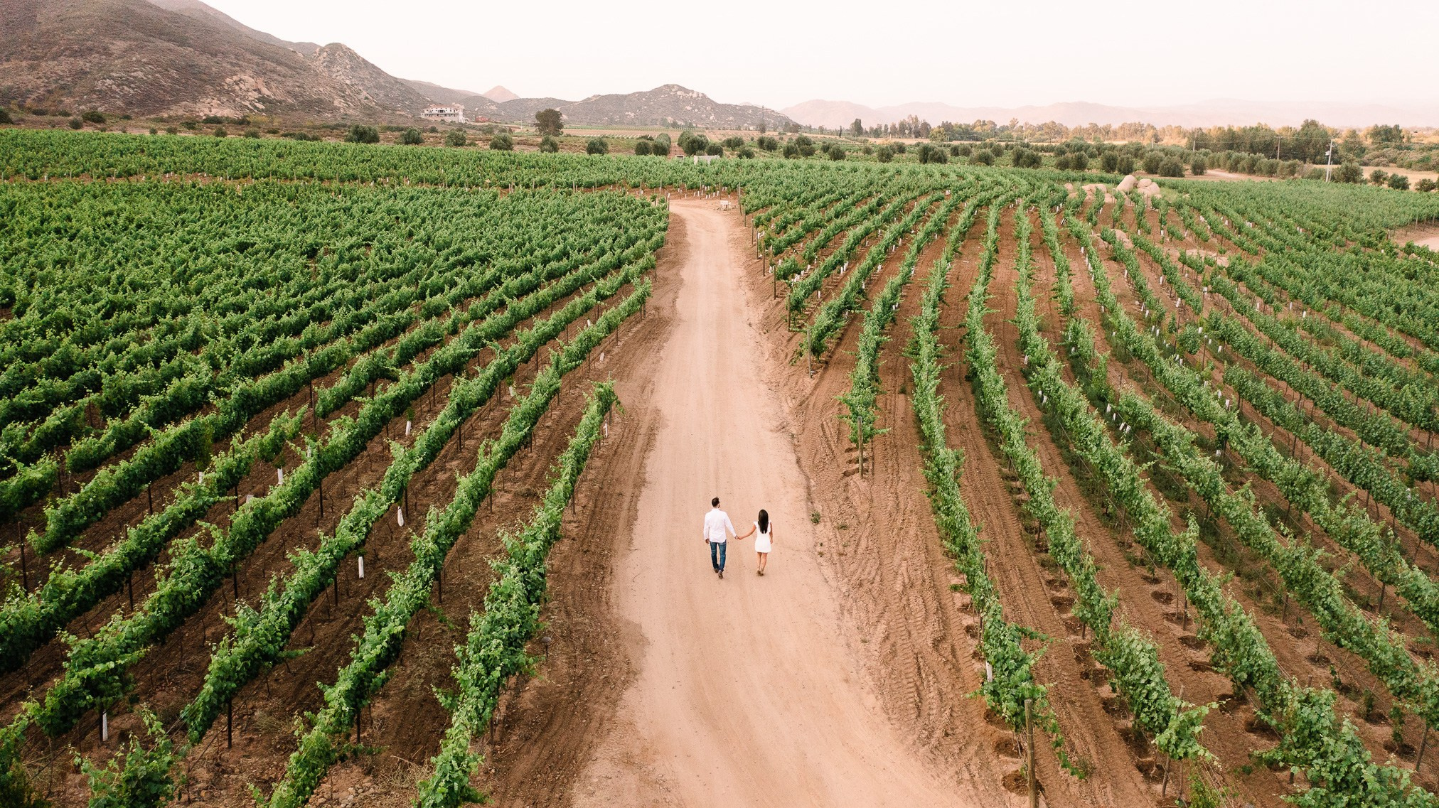 Hilo Negro Valle de Guadalupe Save The Date Ruth y Matt. Estudio de fotografia en Tijuana