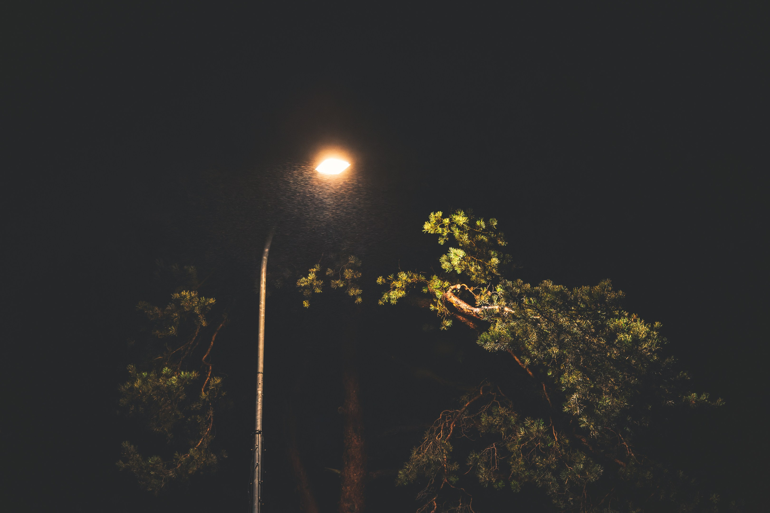 Nebula 25 — Fotod teie hingele