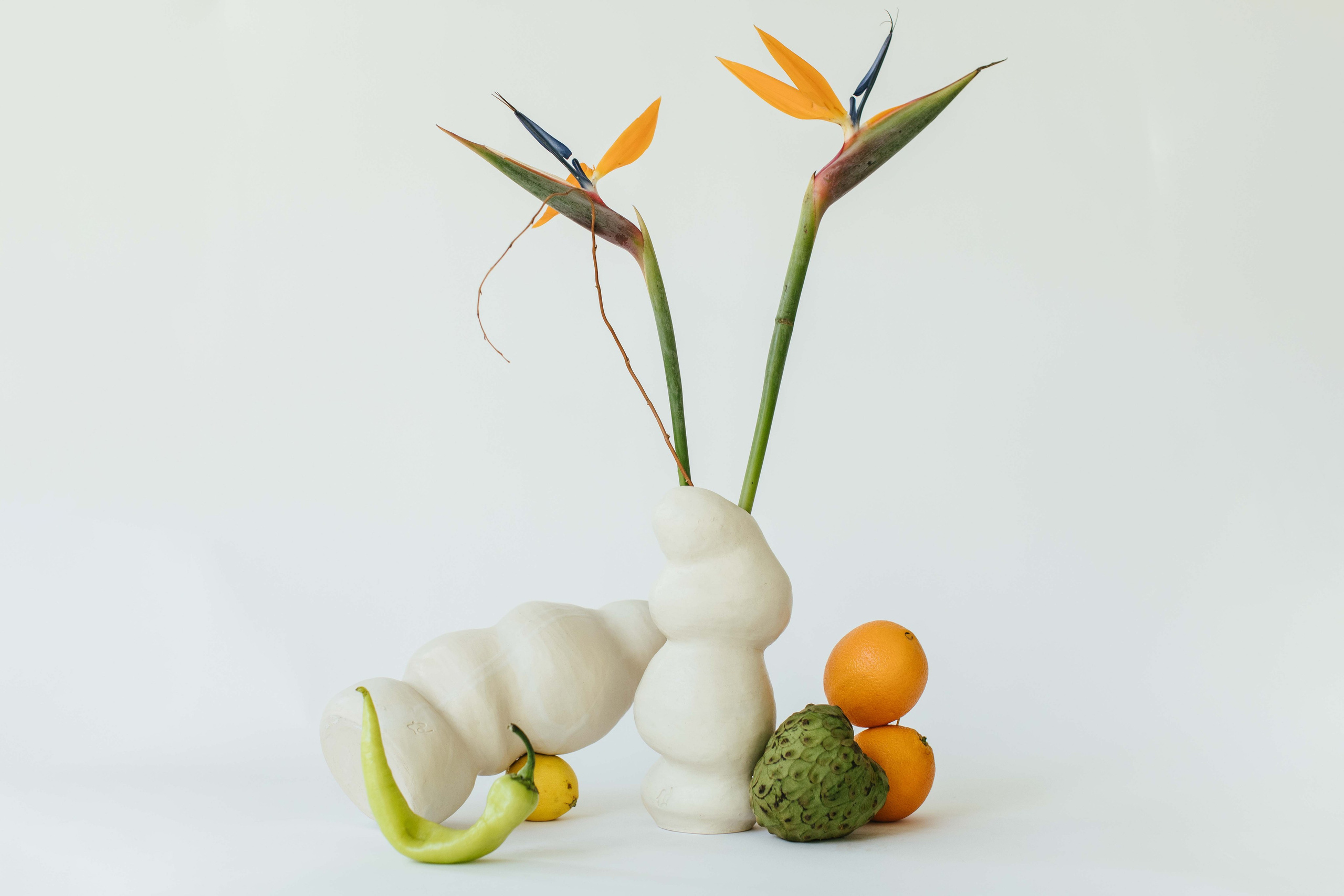 Maria Kulakova — Fotógrafa en Santiago | Fotografía de producto, marcas y familias