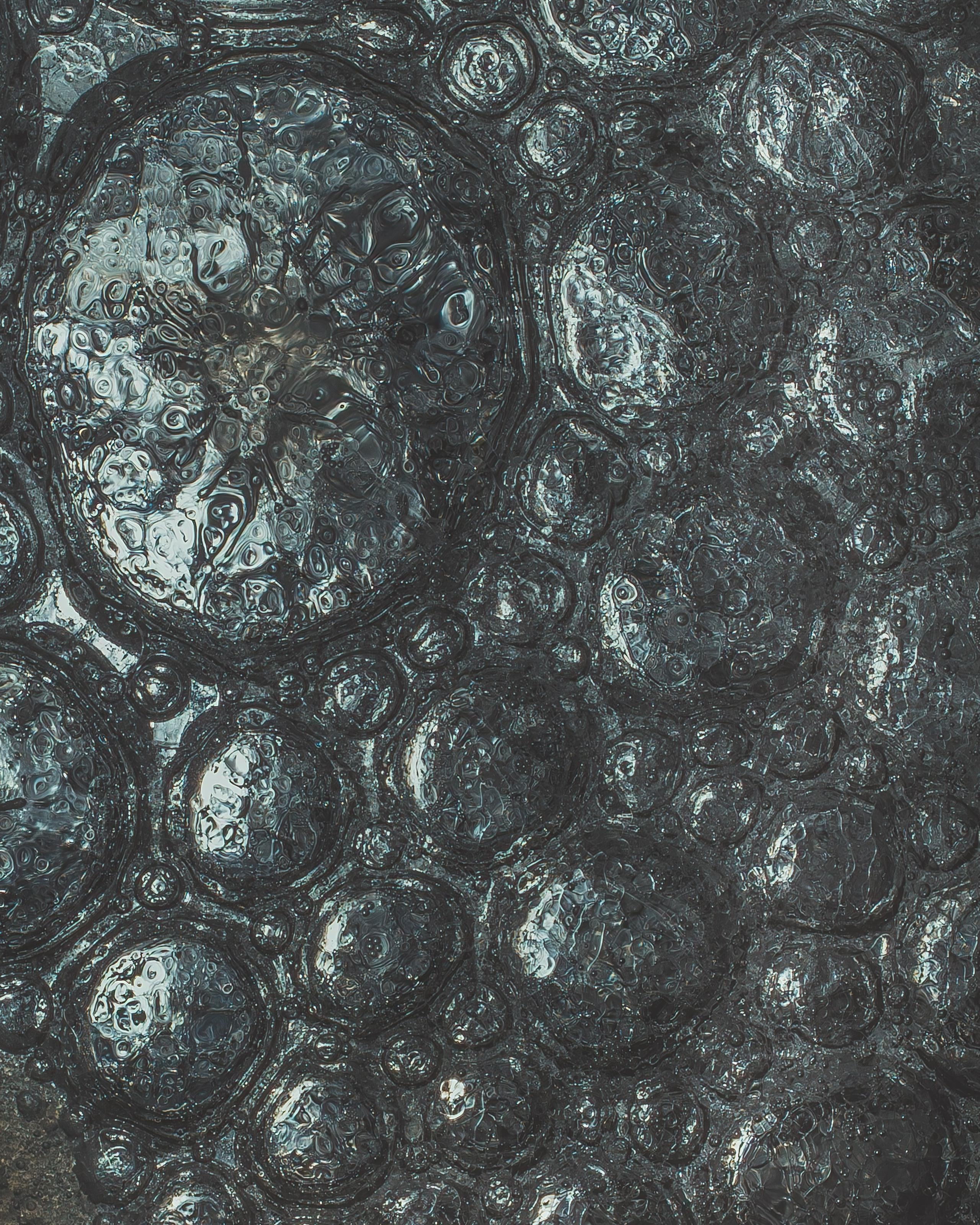 Creative Macro Photographer & Content Creator in Birmingham, UK — Lee Hall