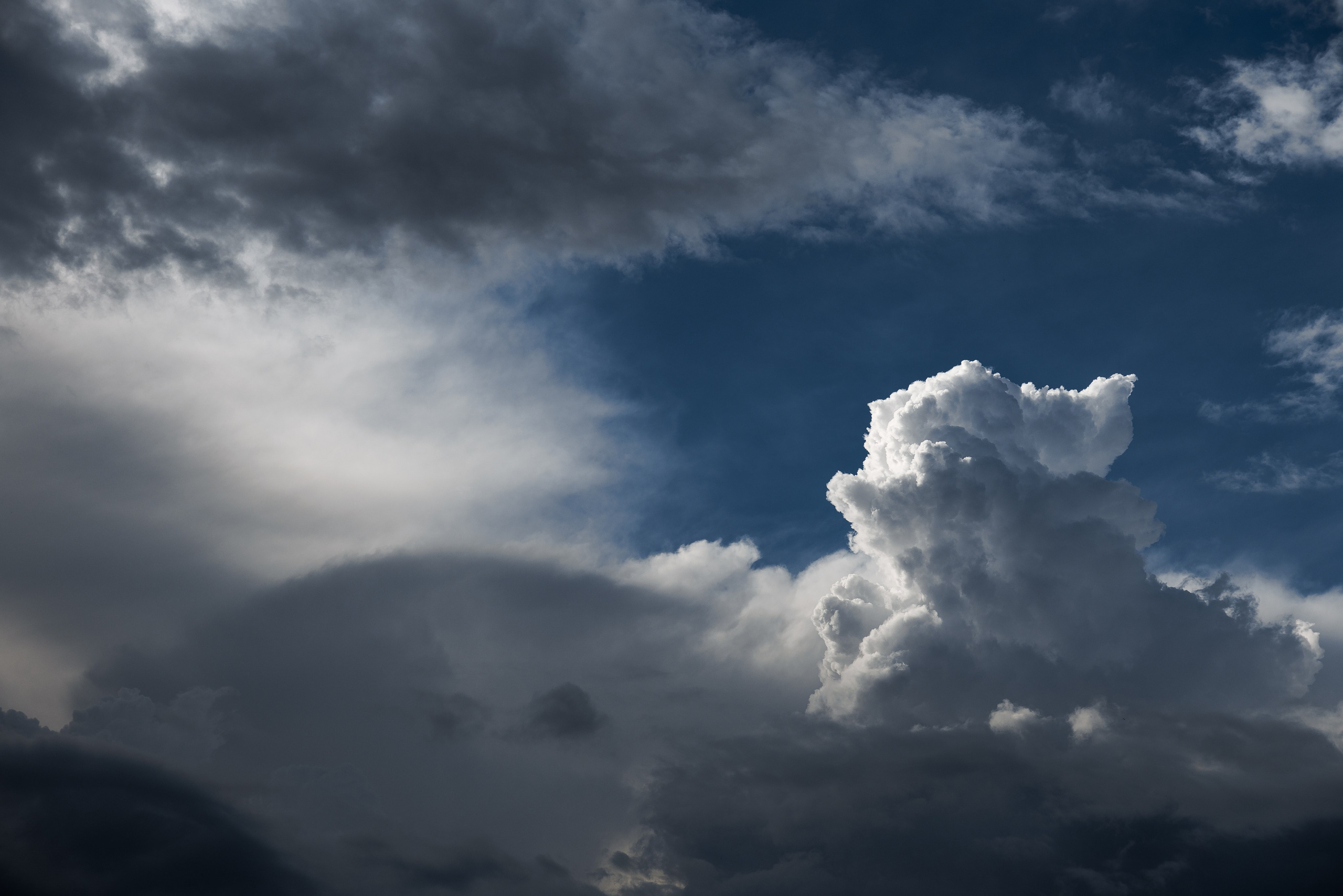 RETAIL LOYALTY DAY. Свадебный фотограф Каледич Тимофей