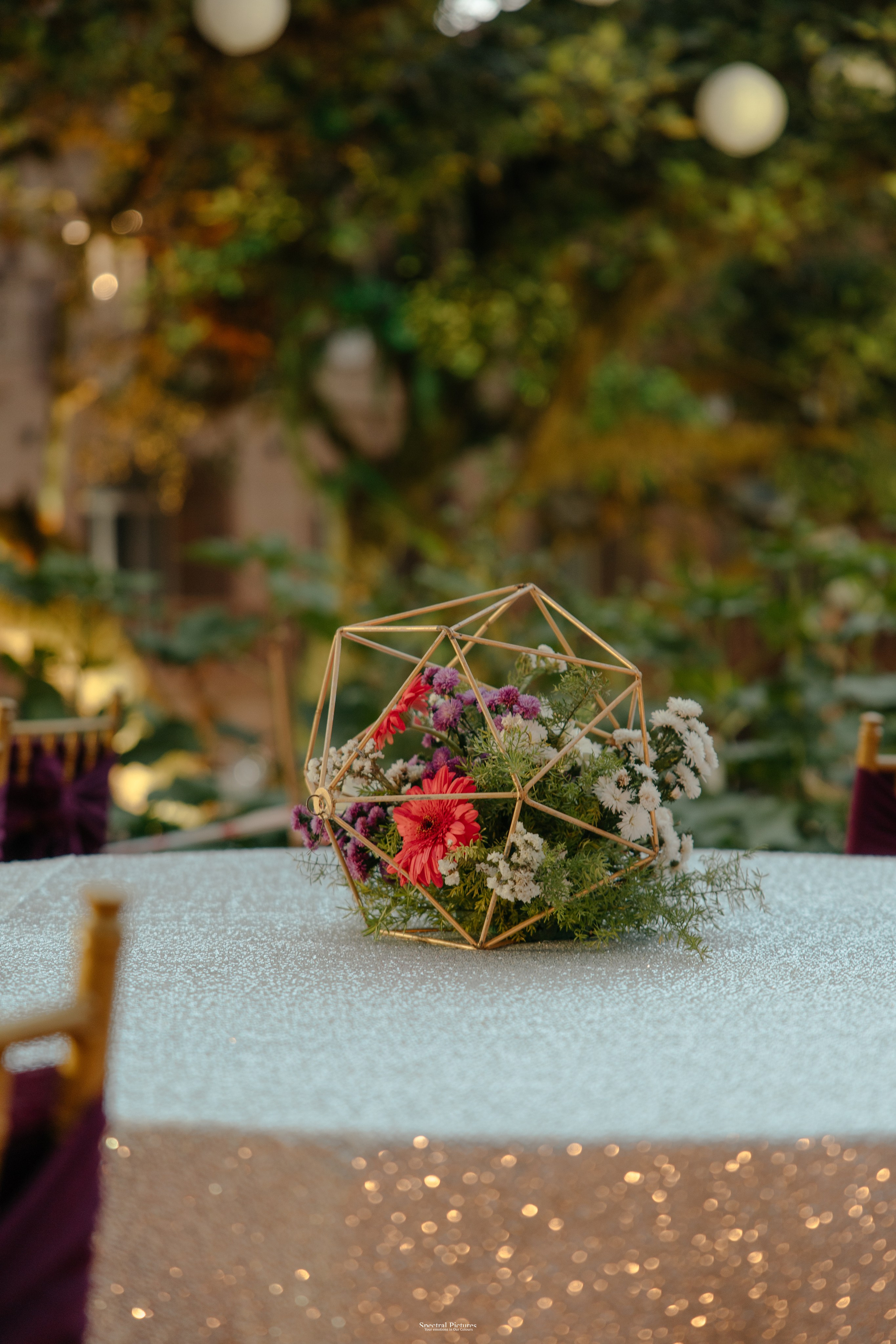 #THEPURALOVESTORY is a journey of two hearts growing in sync, across seasons, challenges, and memories