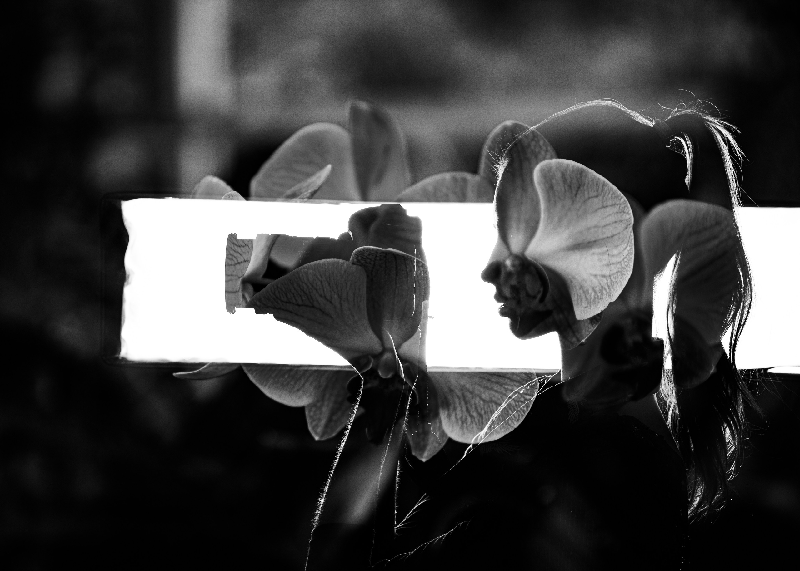 Bio. Fine Art Photography by Ksenia Mirnaya