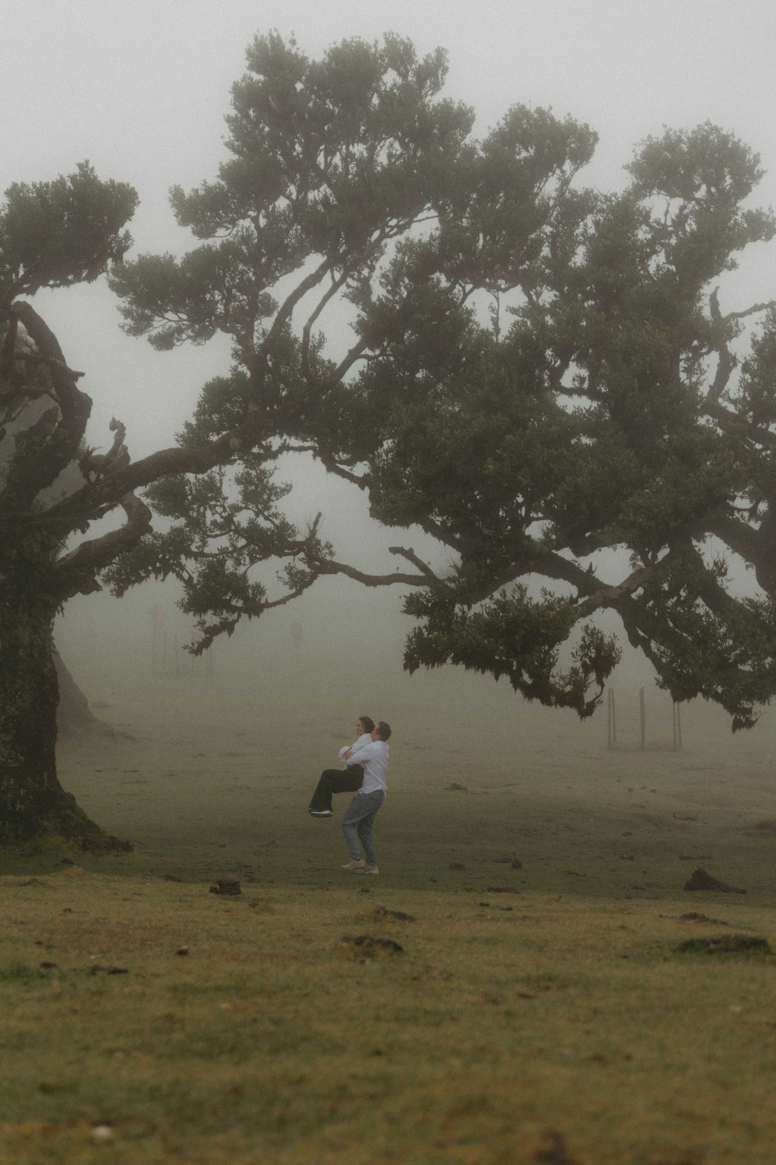Magic of Fanal Forest. Wedding photographer and videographer based in Timisoara, Romania
