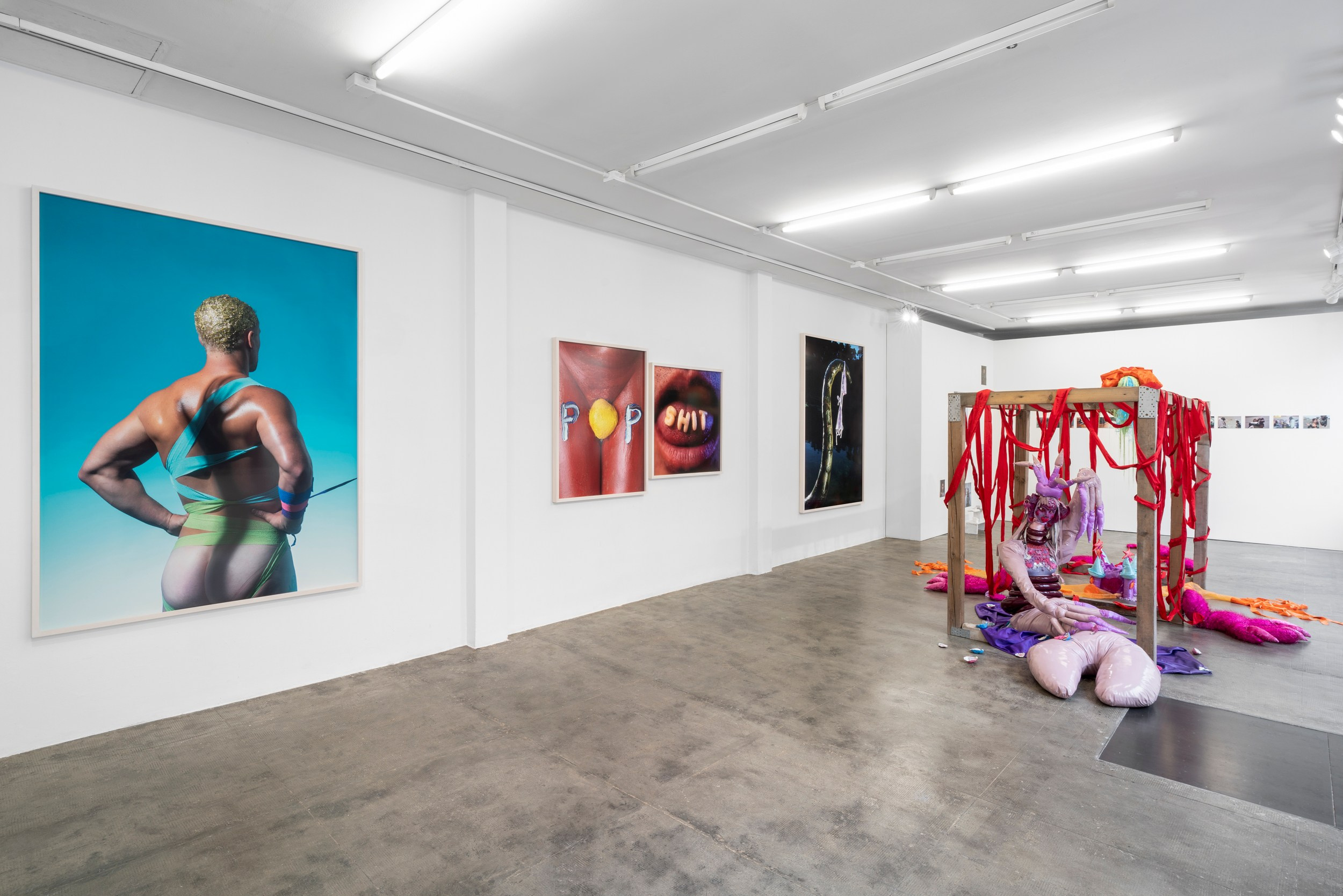 Exhibitions. Sasha Chaika