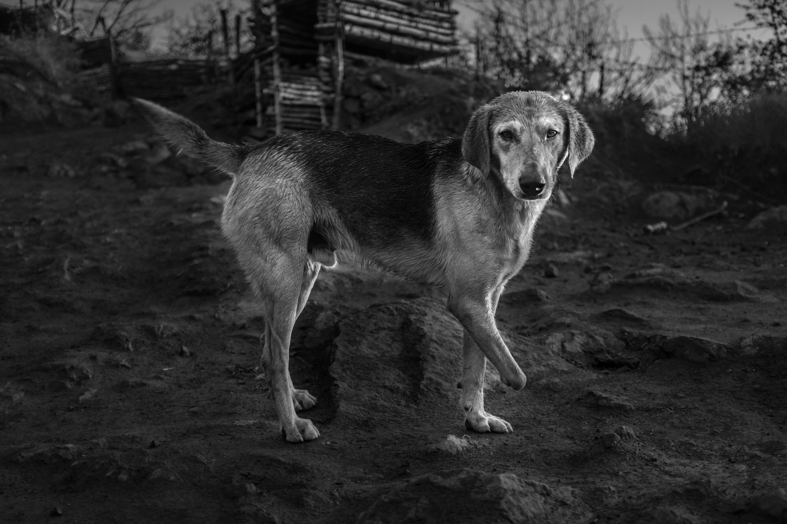 Areg Balayan — Photographer/Visual Artist