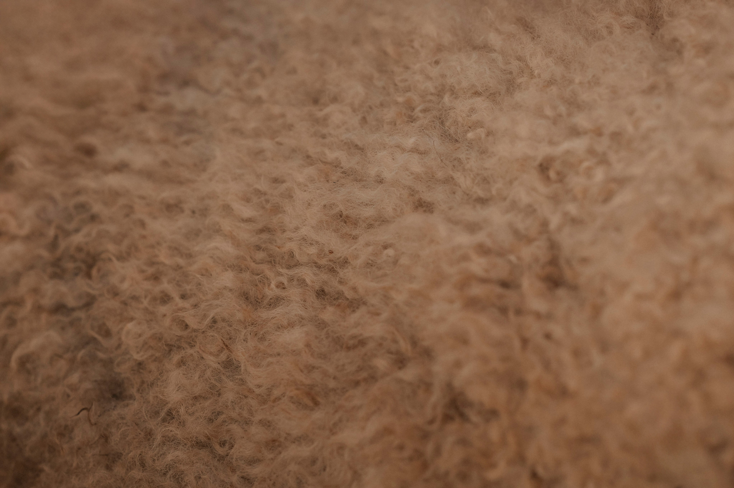 Семья/пара. Фотограф Таллинн — свадьба |семья | lovestory