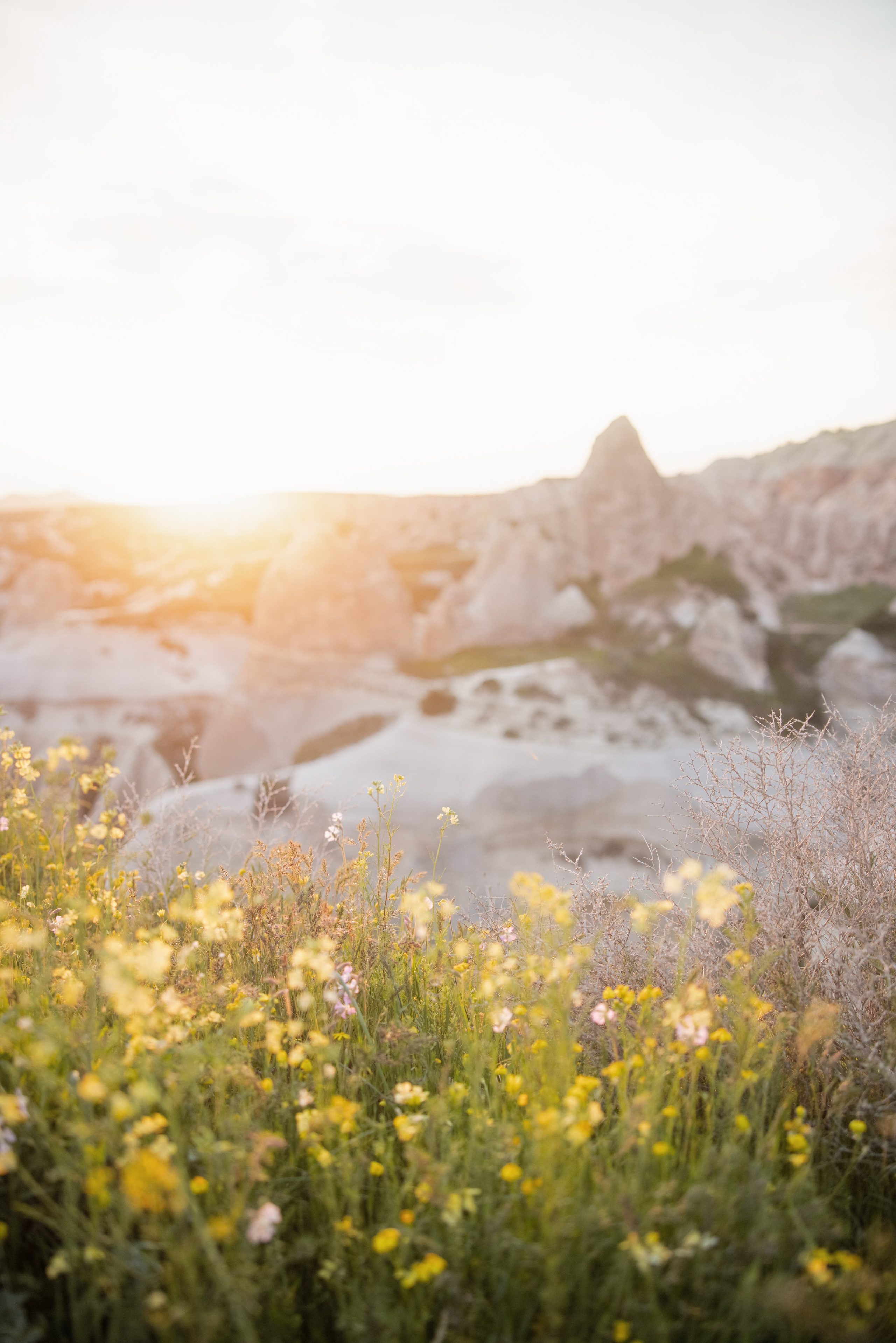 Roydon & Shannon. Cappadocia Photographer — Weddings, Elopements & Couple Photoshoots | Julia Ganch