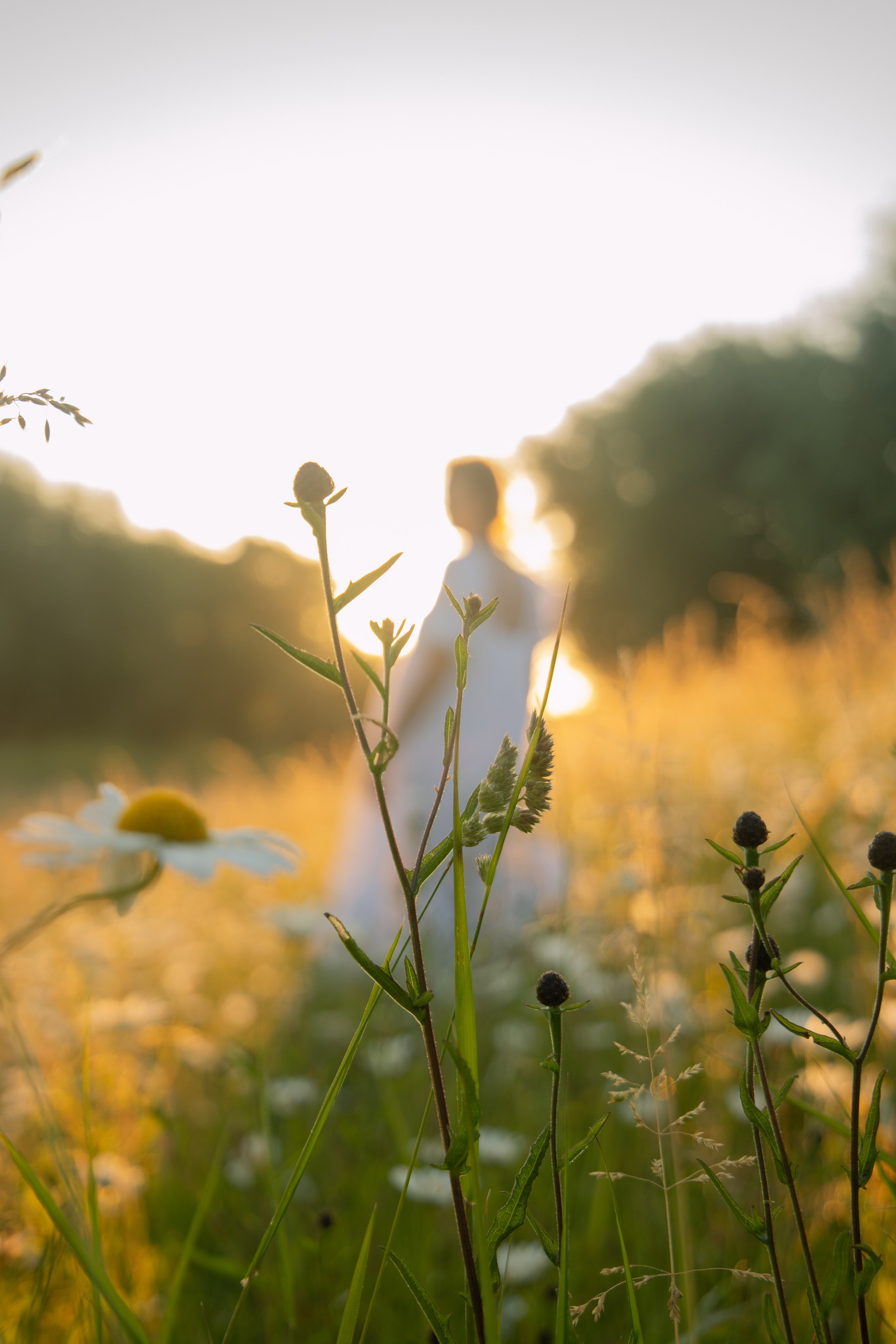 In Harmony with Nature. Natalja Poplavska — Visual artist, Photographer, East Sussex, London