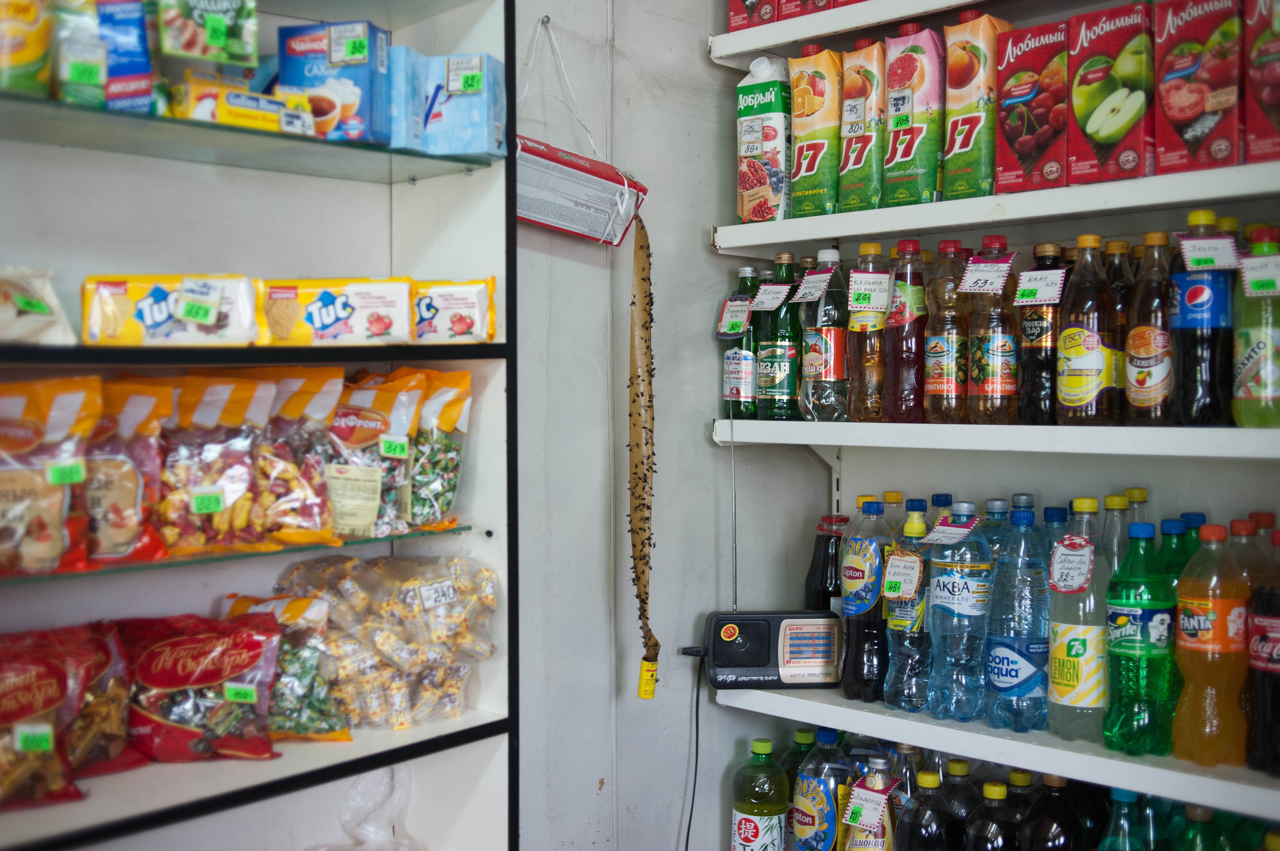 Life of Nina (2019). Audiovisual artist Marina Noskova