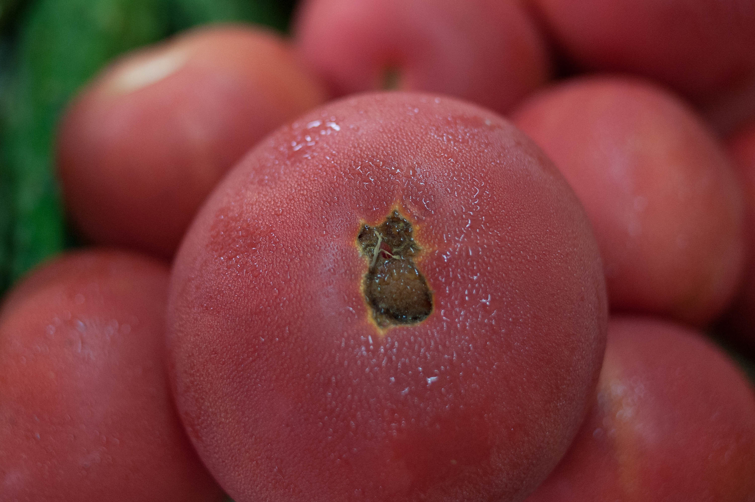 Life of Nina (2019). Audiovisual artist Marina Noskova