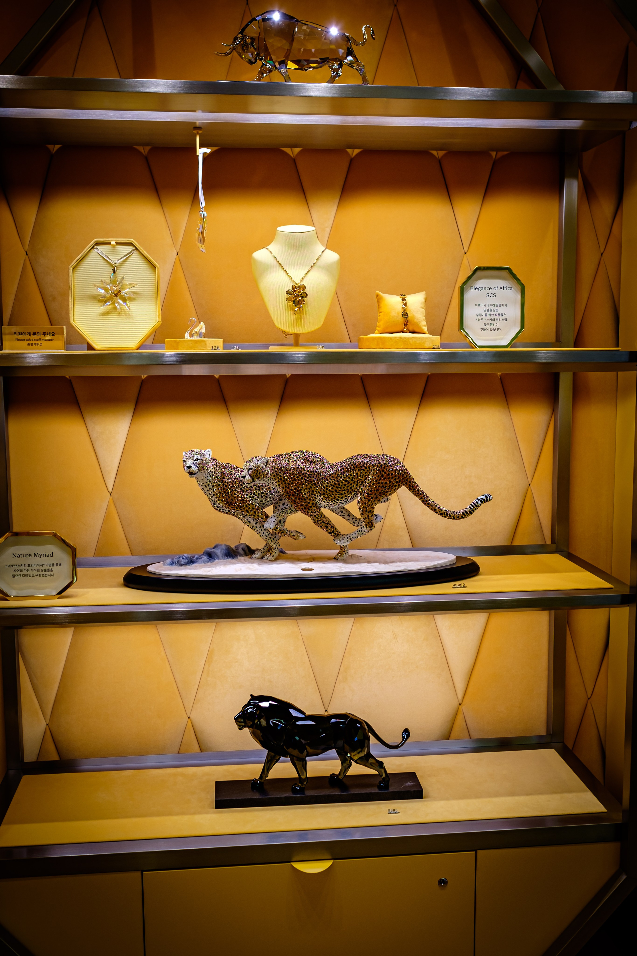 SWAROVSKI. Photographer in Seoul Dobrokvashina Natalya