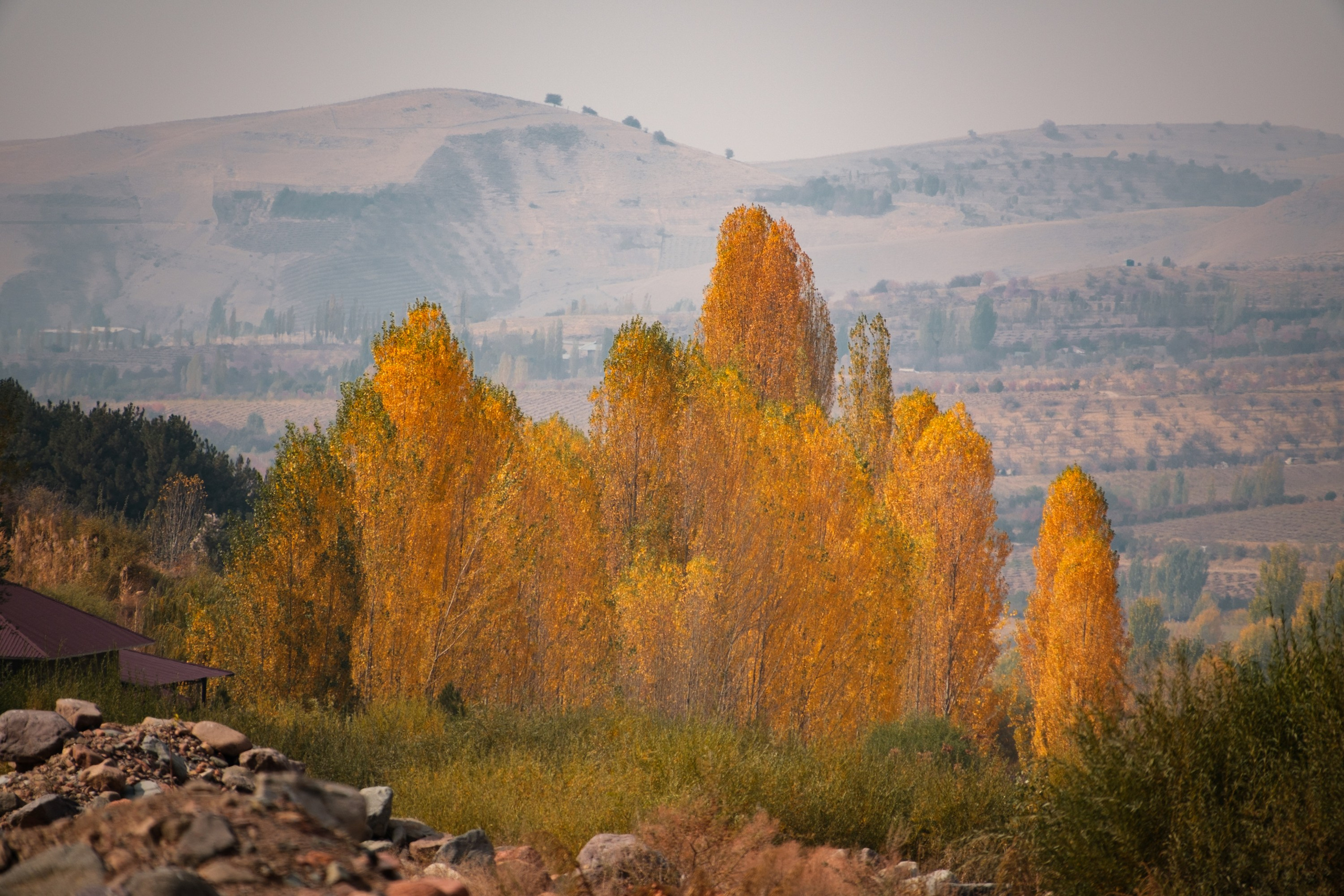 Обзор на объектив 16-300мм Sigma. Личные впечатления и опыт использования. Фотограф Григорий Кравец