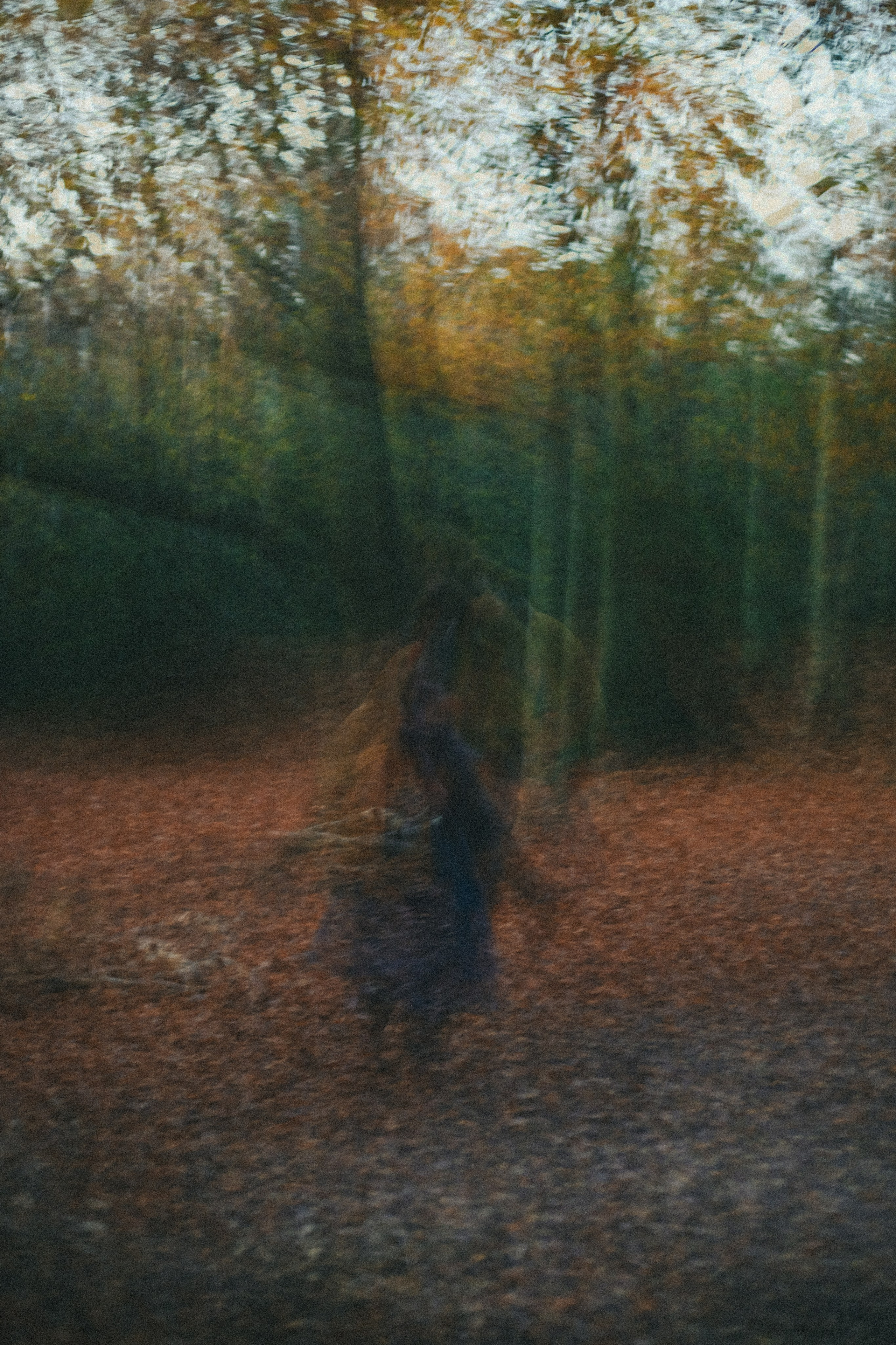 О моих коммерческих съемках. Виктория Дини. Арт-фотография