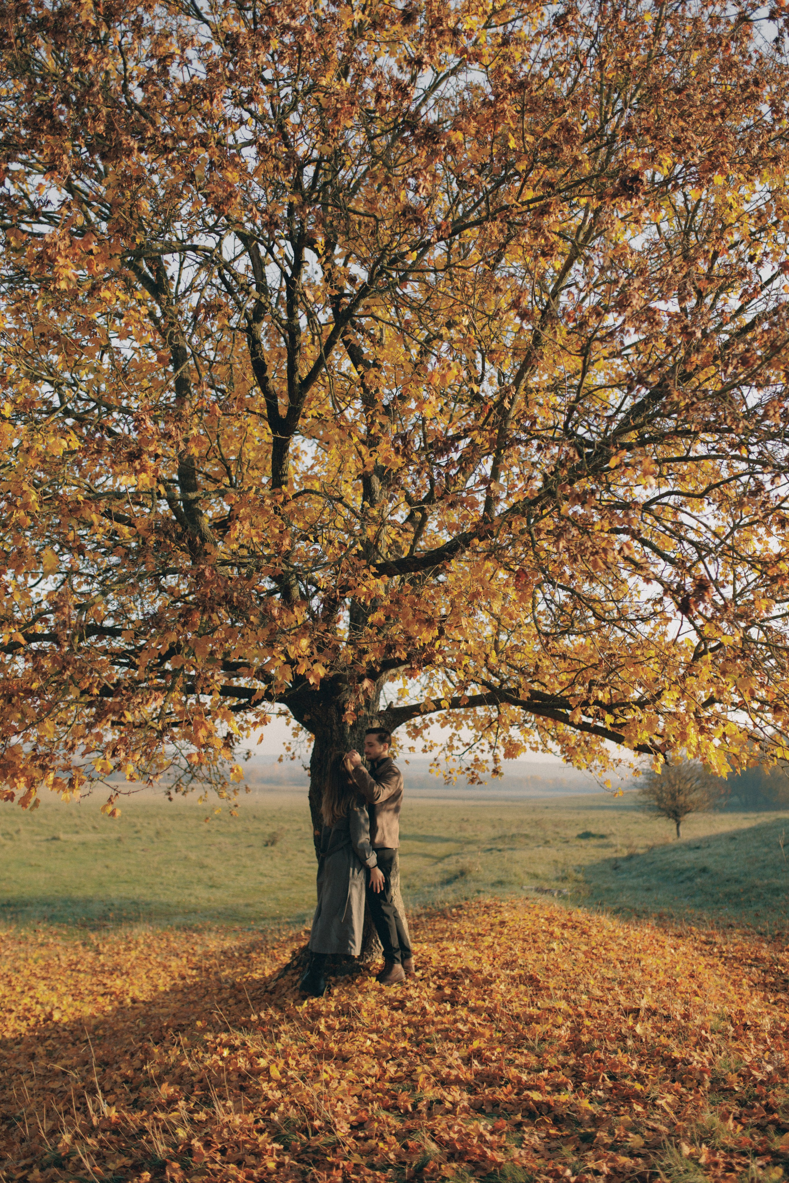 An autumn lovestory. Wedding photographer and videographer based in Timisoara, Romania