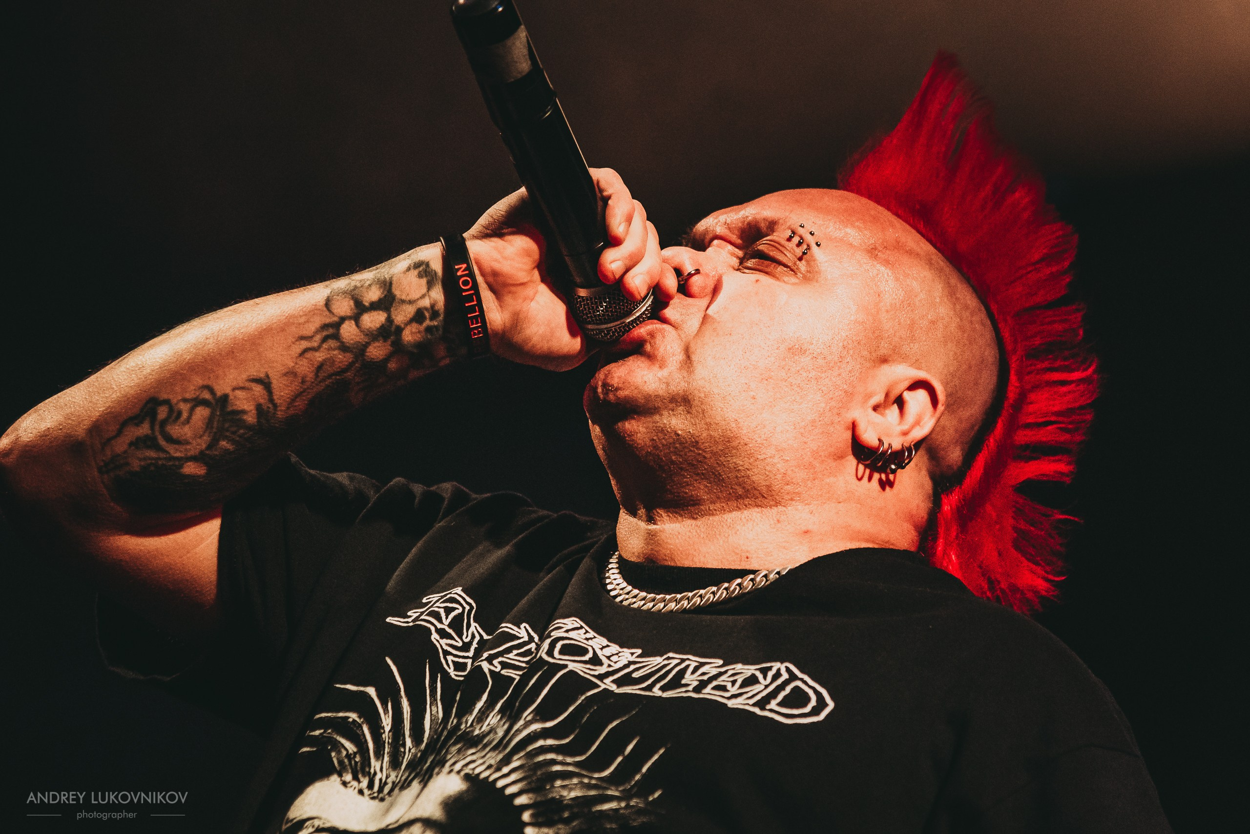 The Exploited. Tour 2017