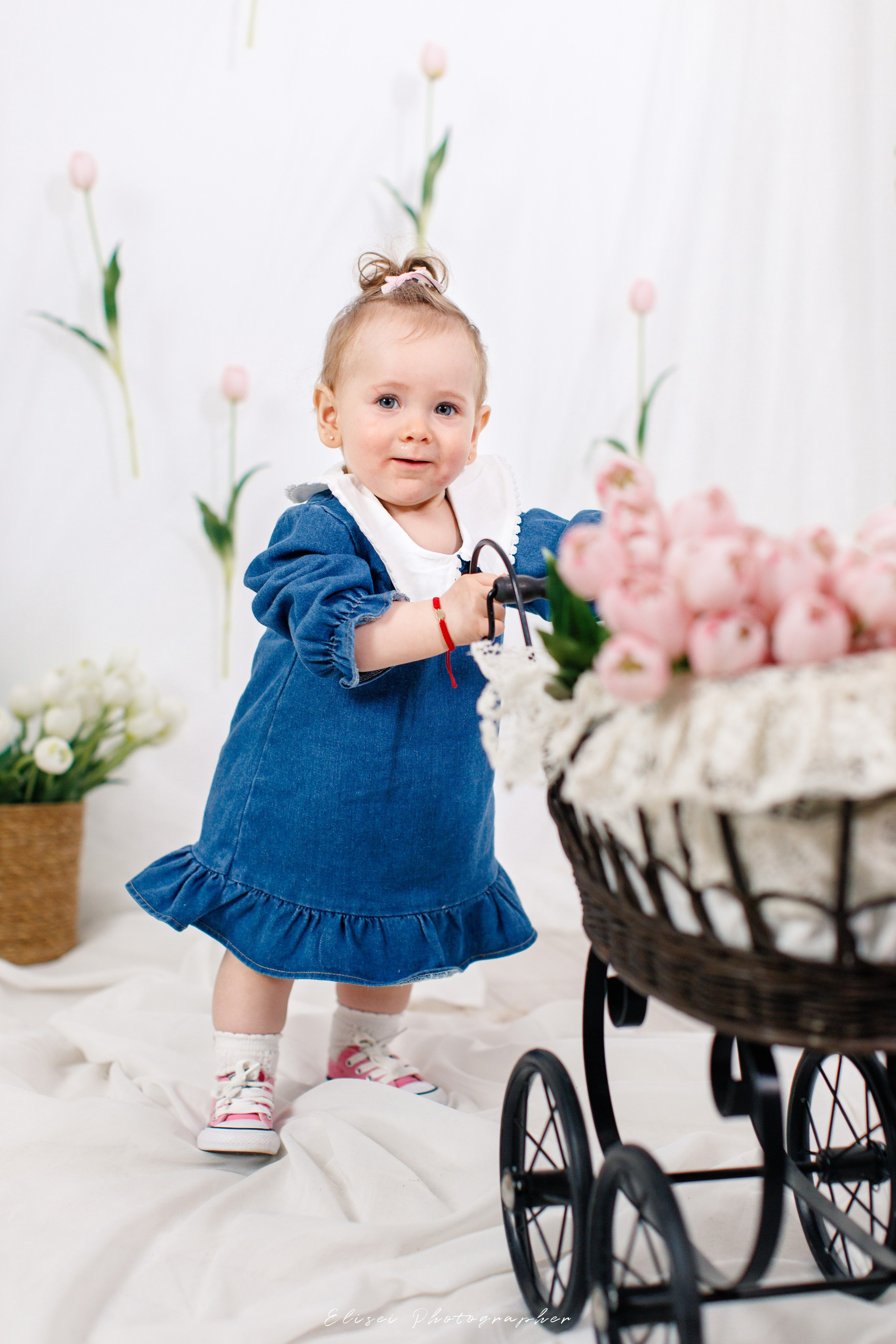 Sedinta Foto 1 An Suceava