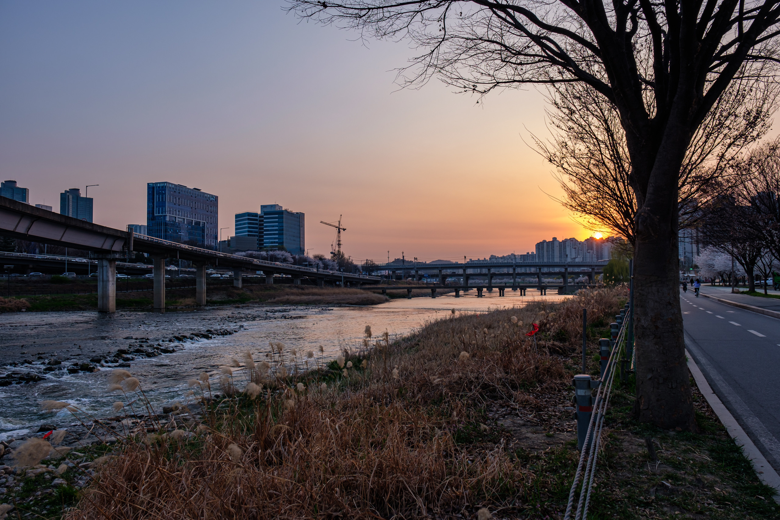 The charm of night streets and skyscrapers. Photographer in Seoul Dobrokvashina Natalya