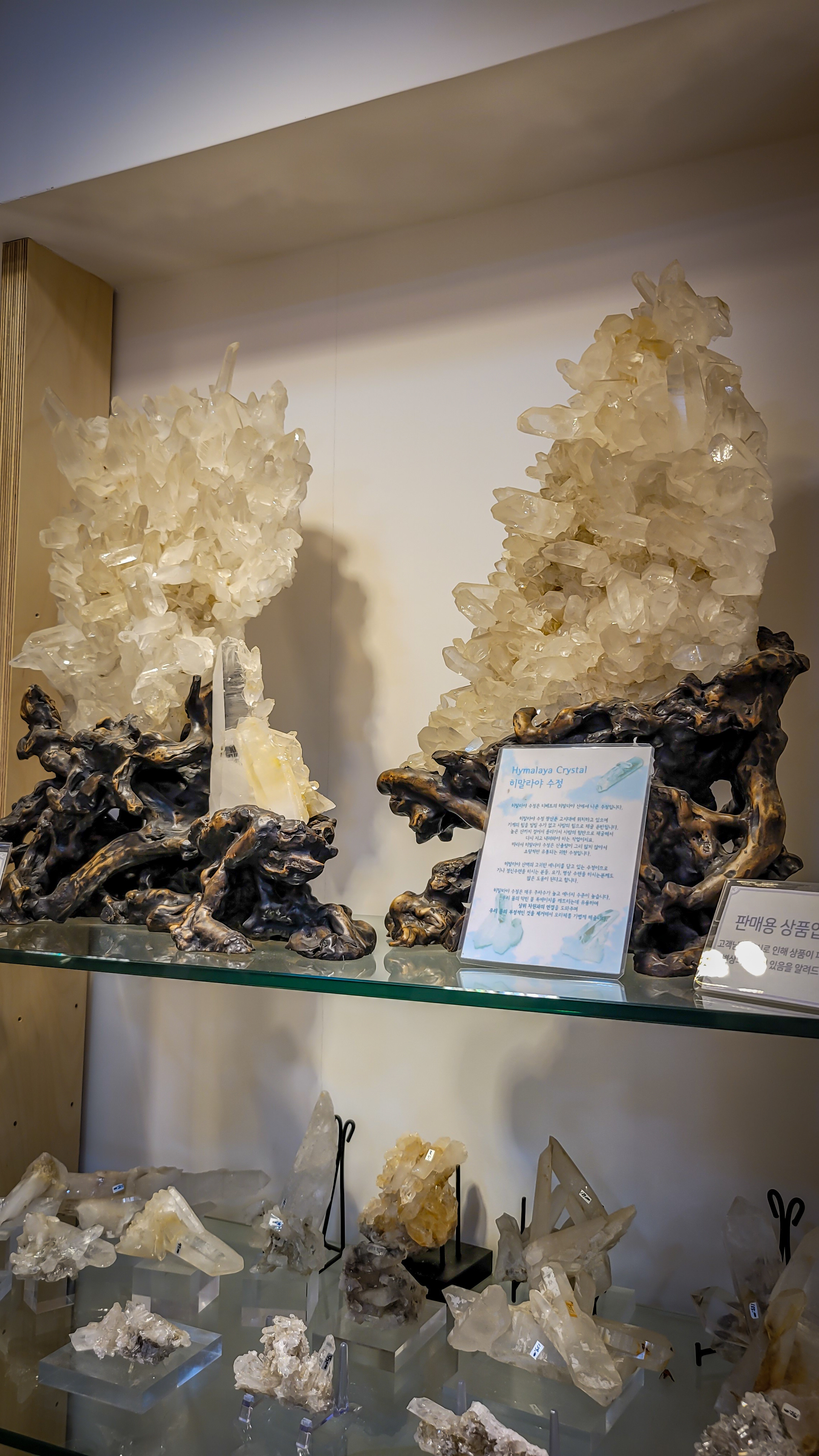 Stone Kingdom in Insadong, Seoul. Photographer in Seoul Dobrokvashina Natalya