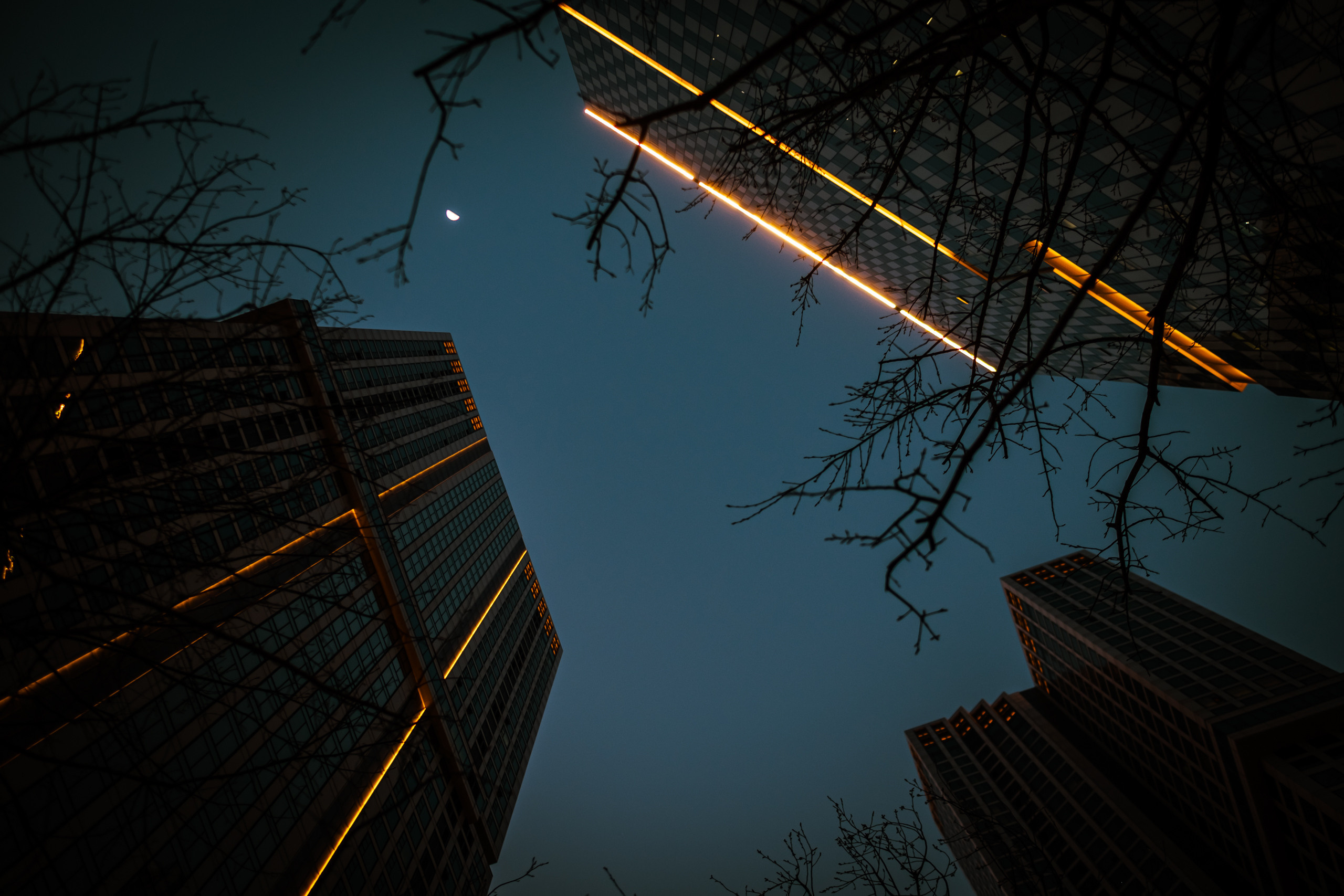 The charm of night streets and skyscrapers. Photographer in Seoul Dobrokvashina Natalya