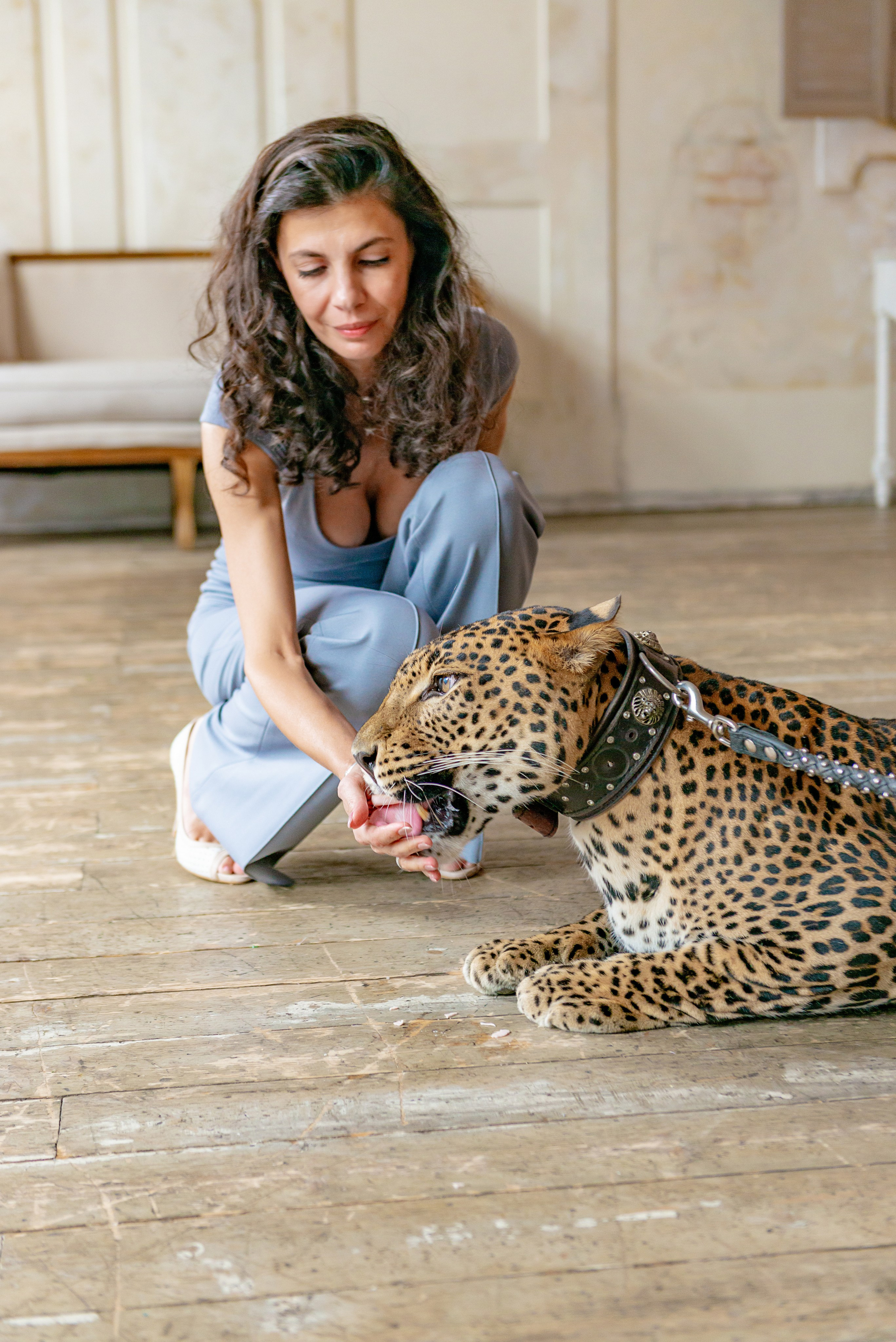 Photosession in the studio with a leopard. FOTÓGRAFO MÉXICO QUINTANA ROO