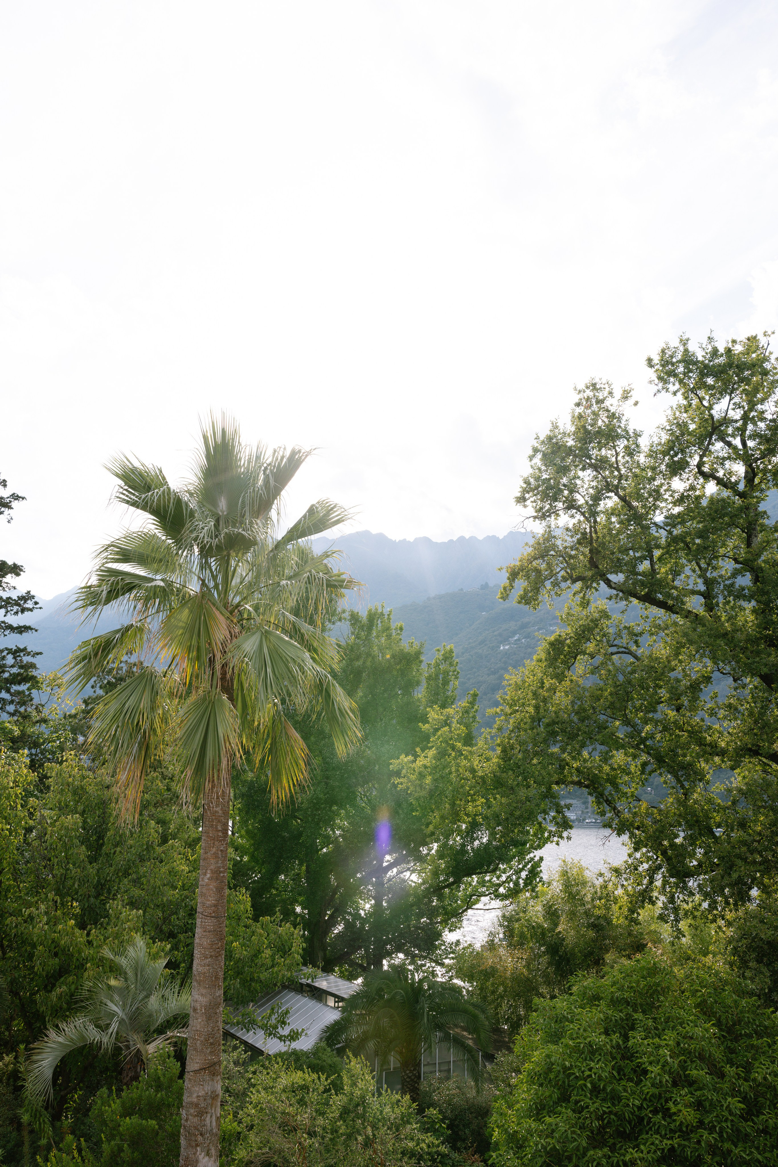 Wedding on the Brissago Islands, Ticino | Destination Wedding Switzerland. Wedding and Family Photographer Switzerland and Italy. Valeria Diaz